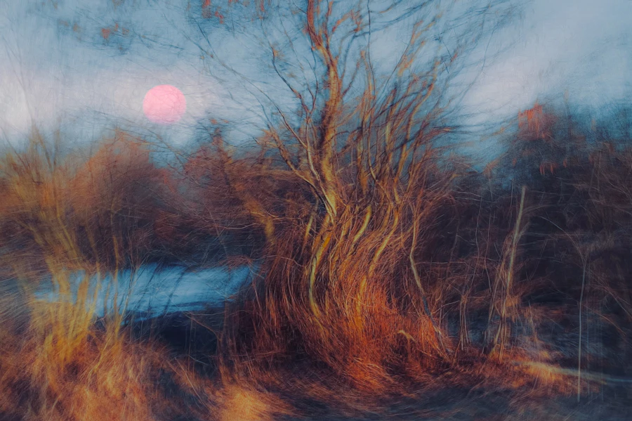 Photograph 2 by Eugene Golovesov