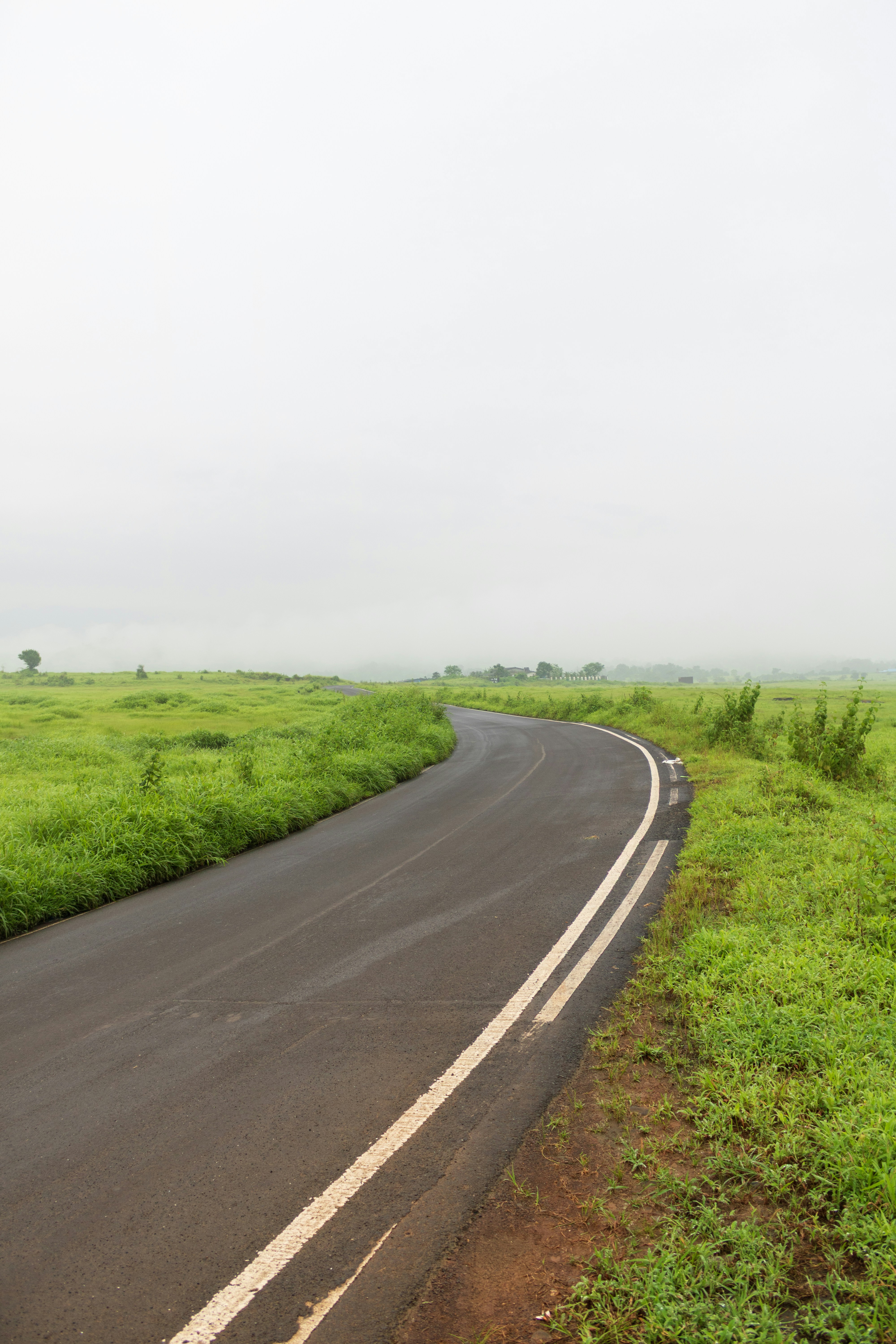 Photo by zoshuacolah