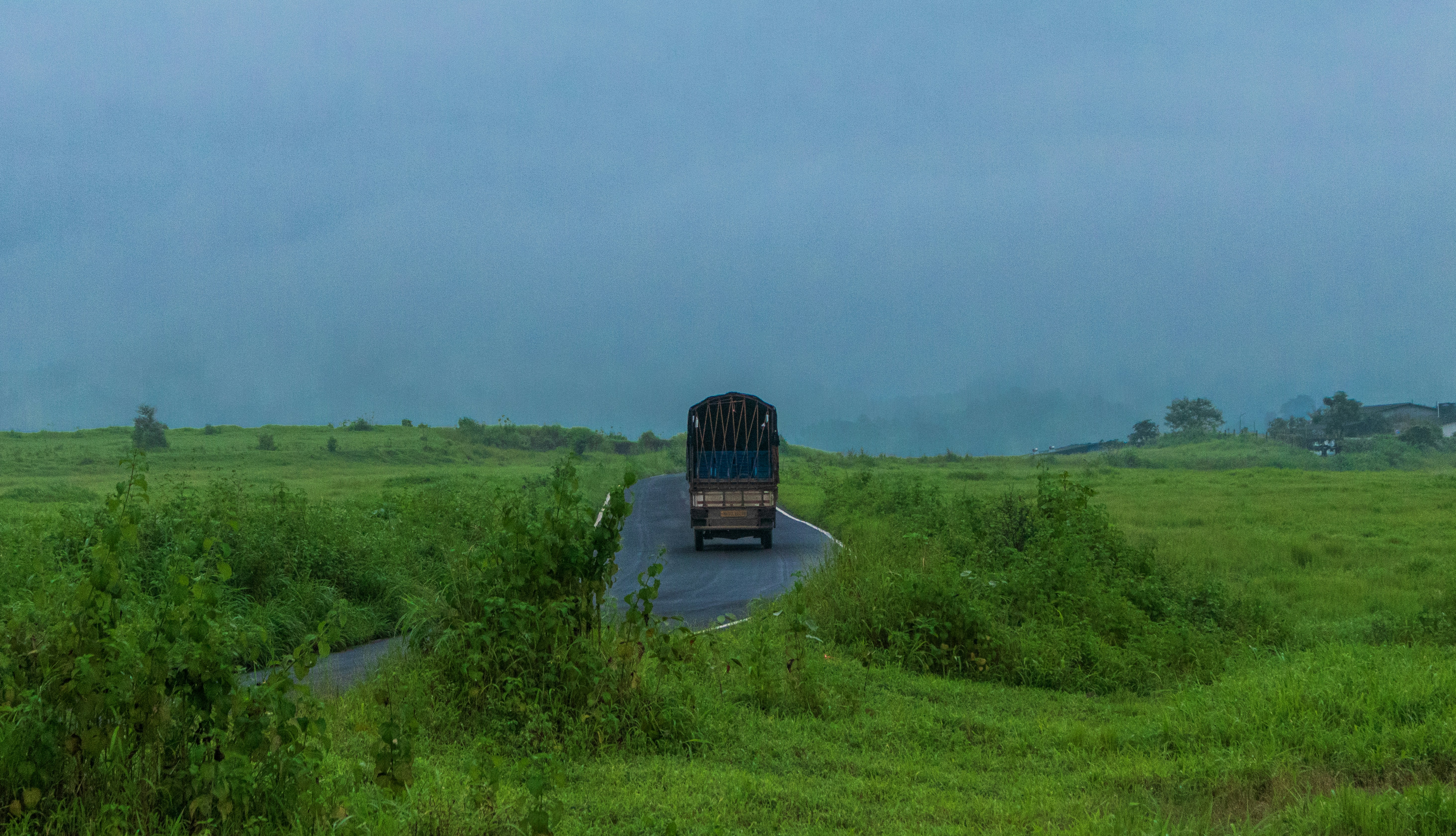 Photo by zoshuacolah