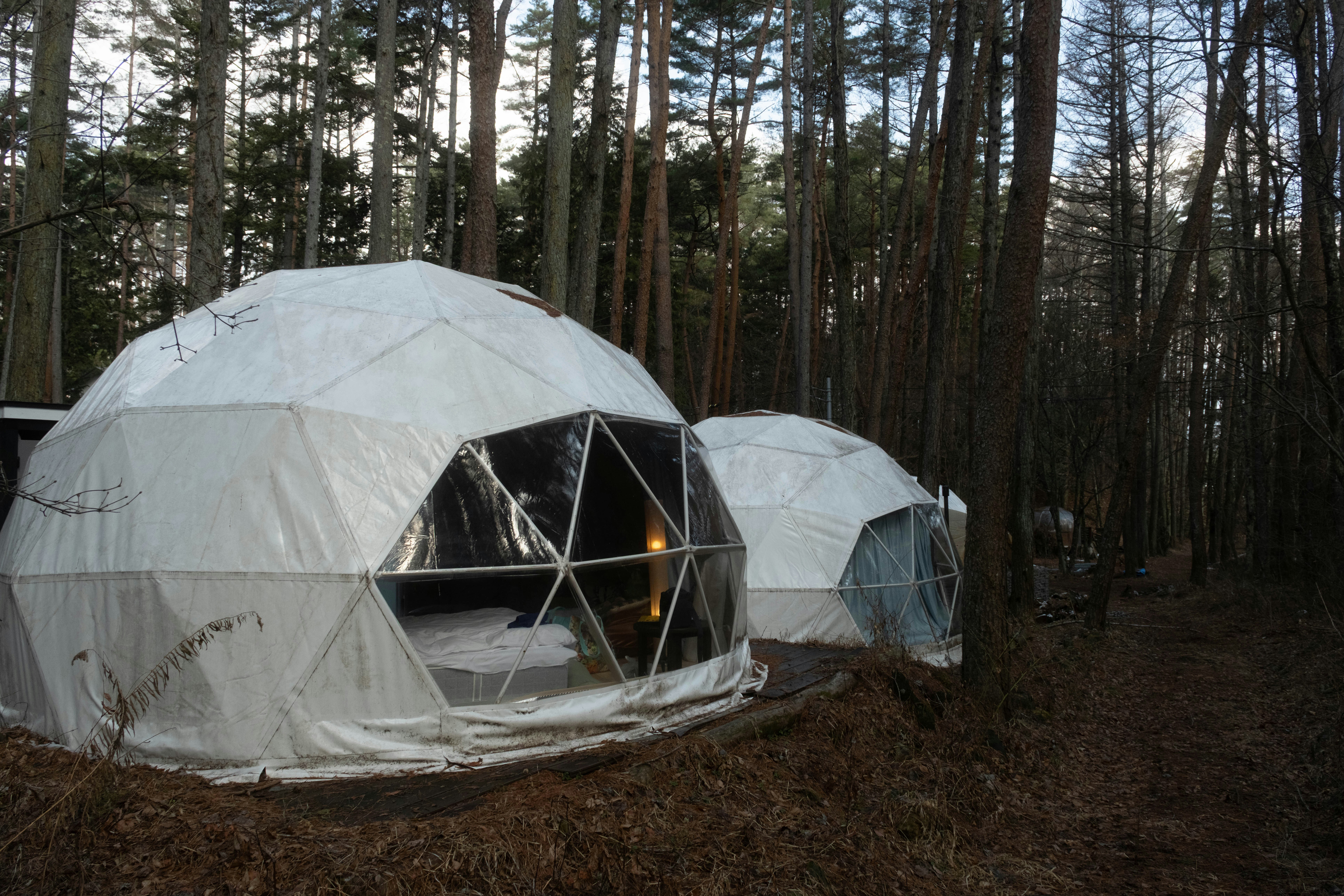 Two geodesic domes in a forest setting.