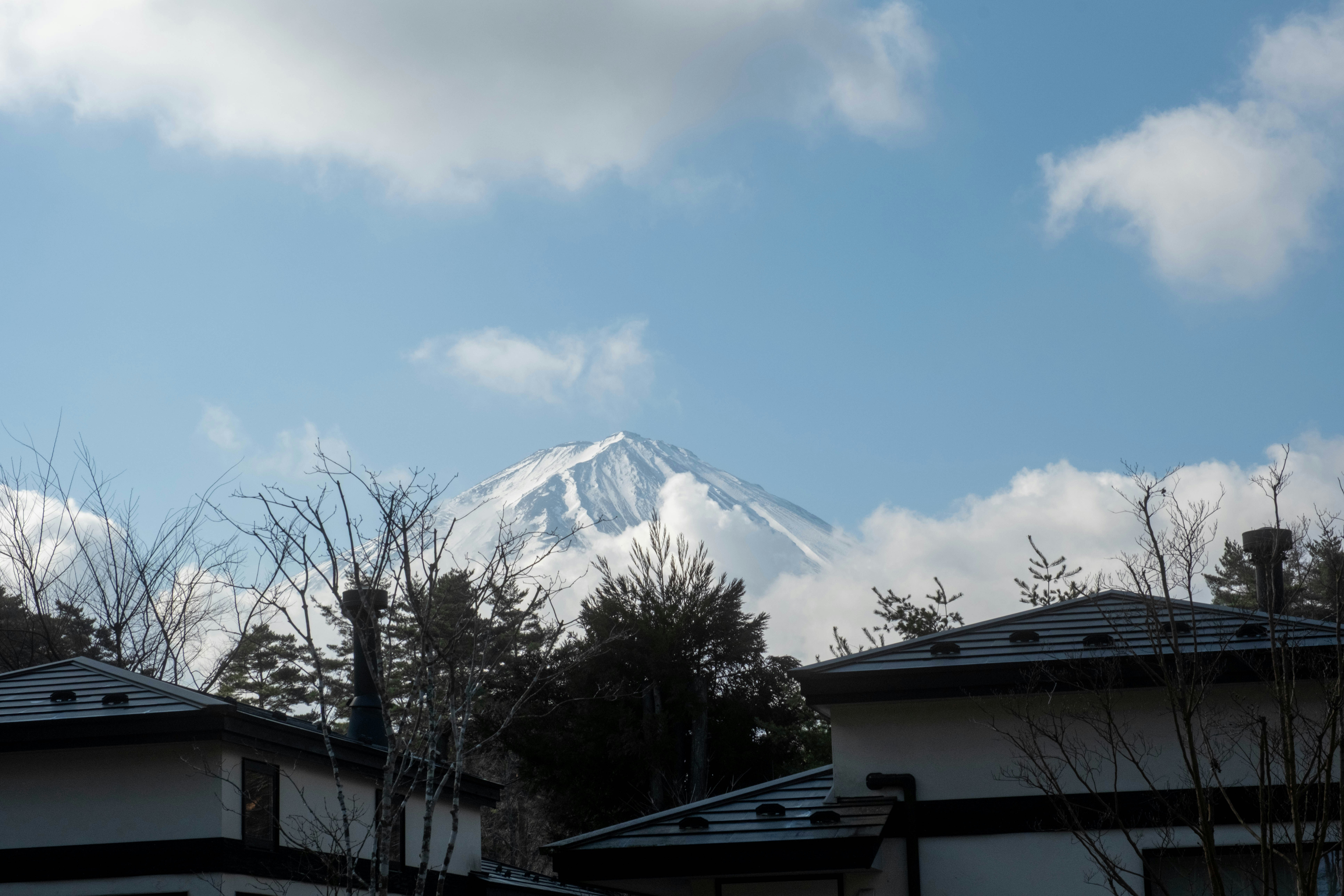 Snow-capped mountain peak visible above trees and houses.