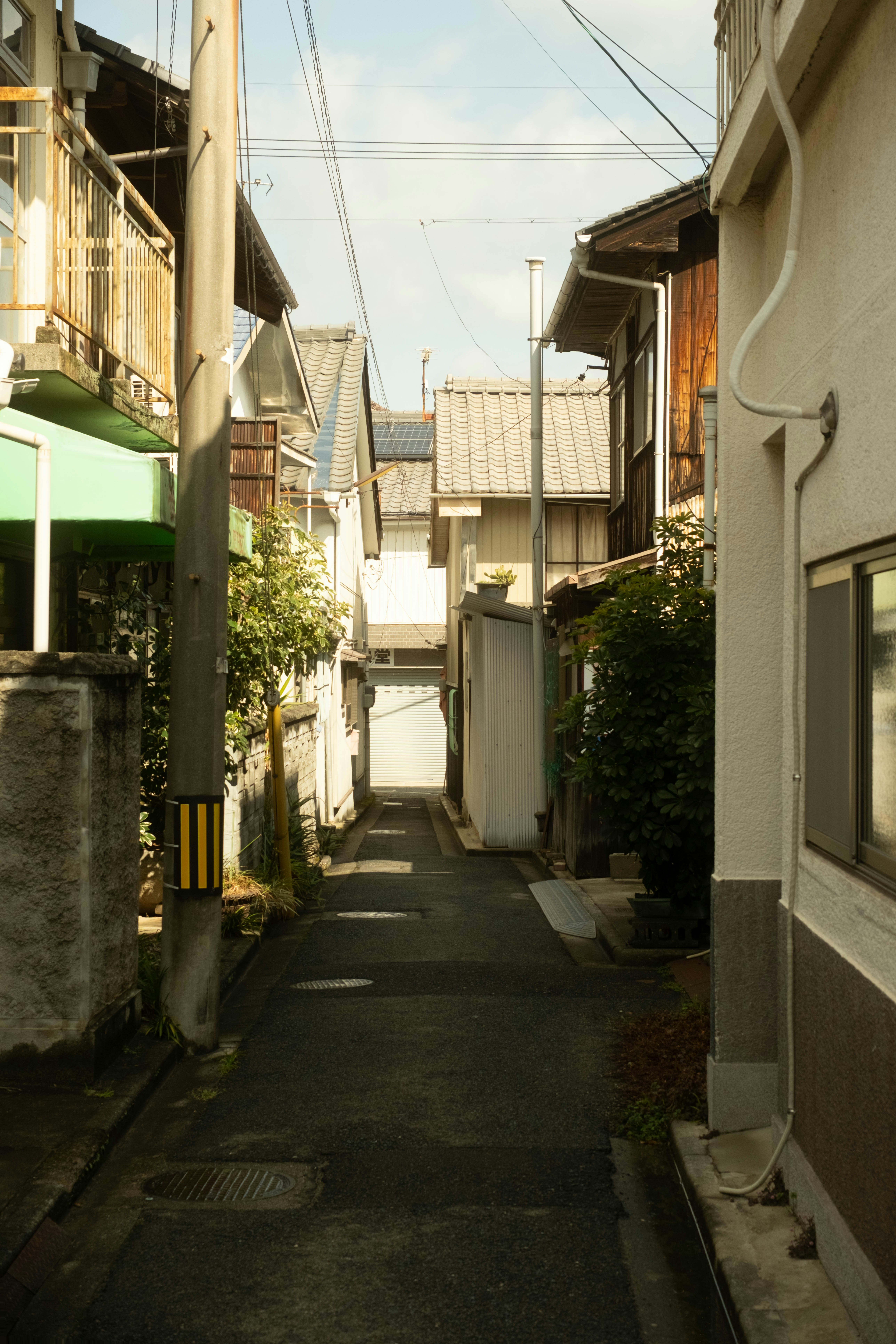 Photo by harmant
