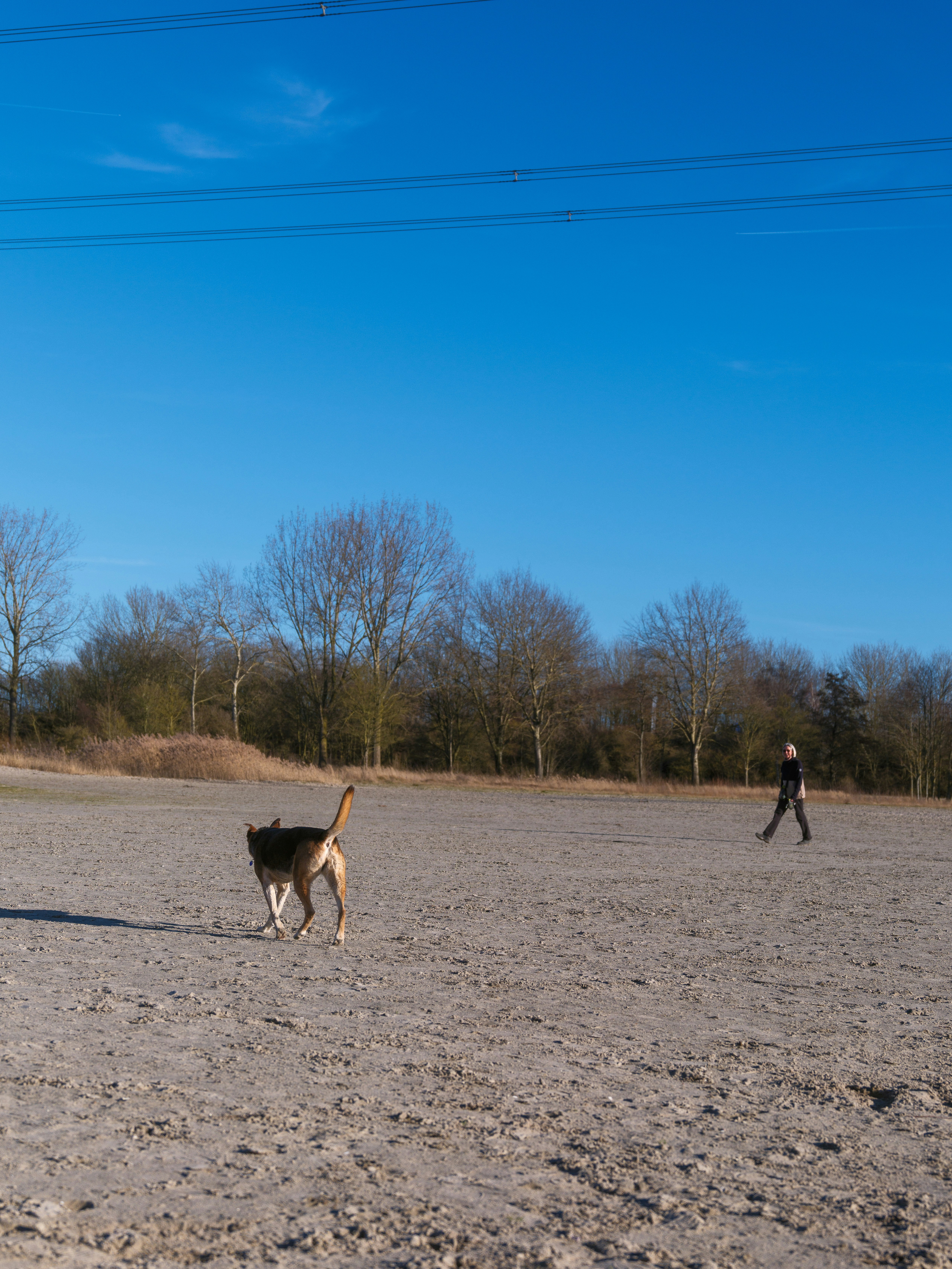 A dog and person in a wide open field.