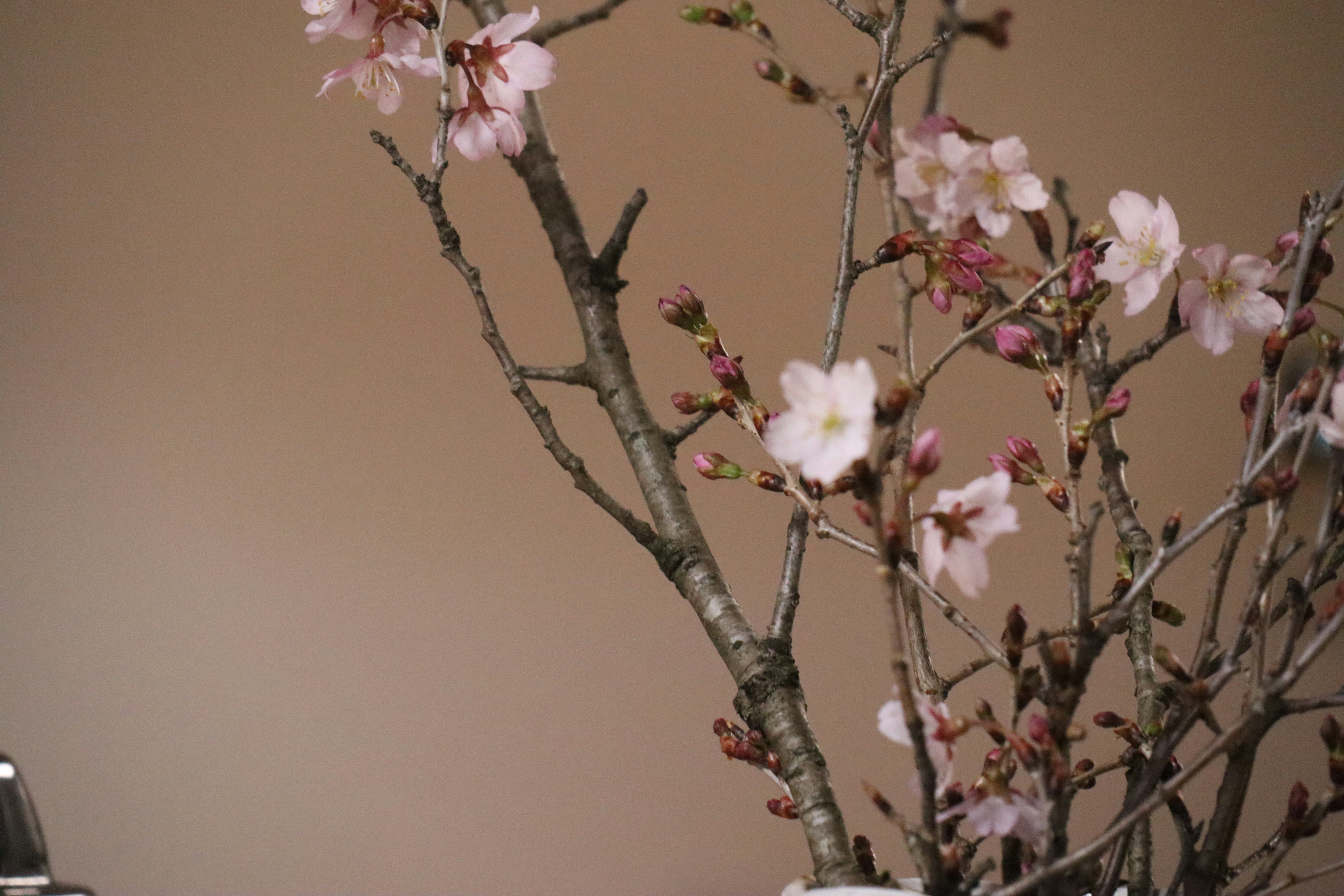 Photo by greatfurusho