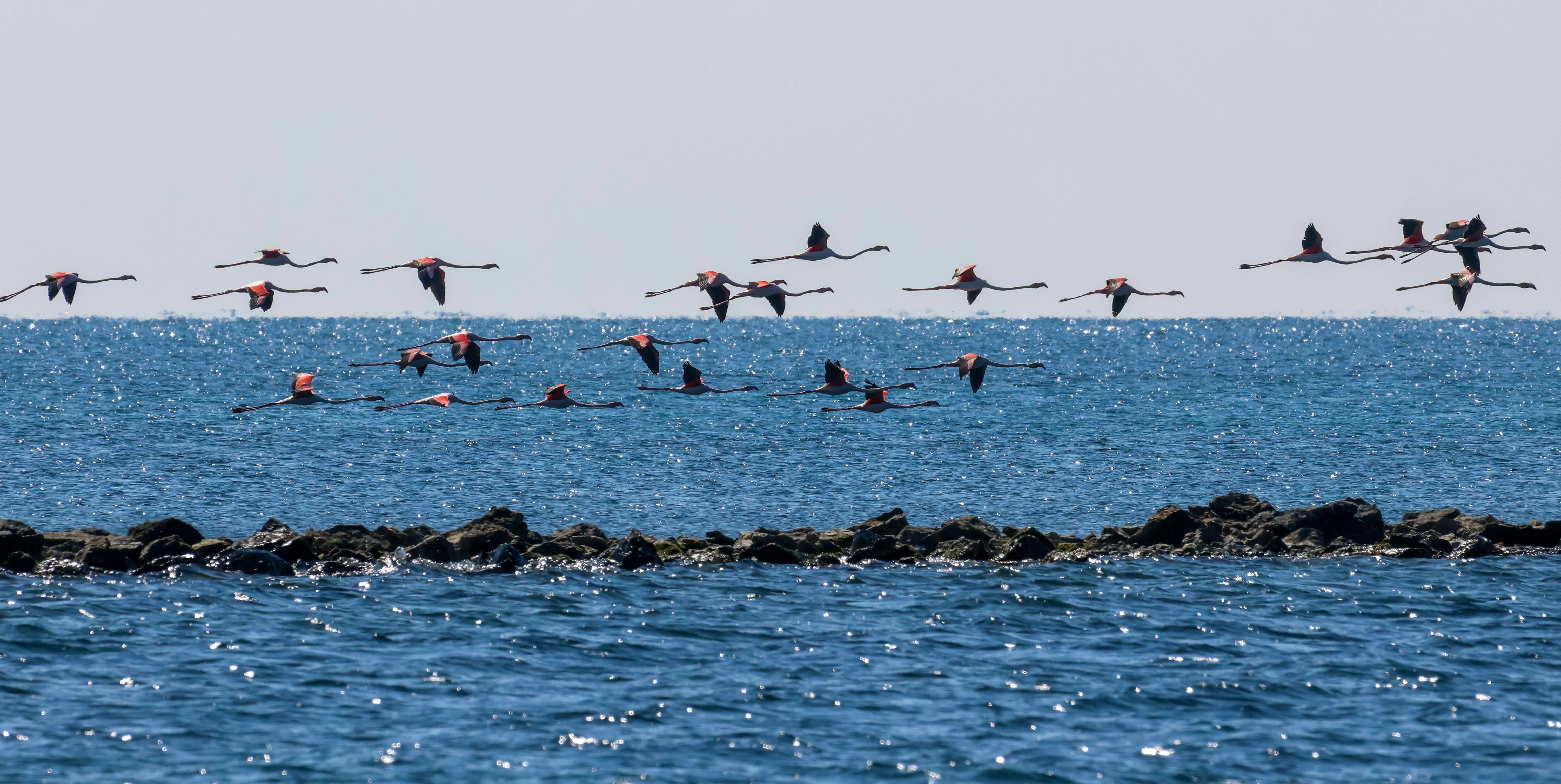 Photo by onderandinc