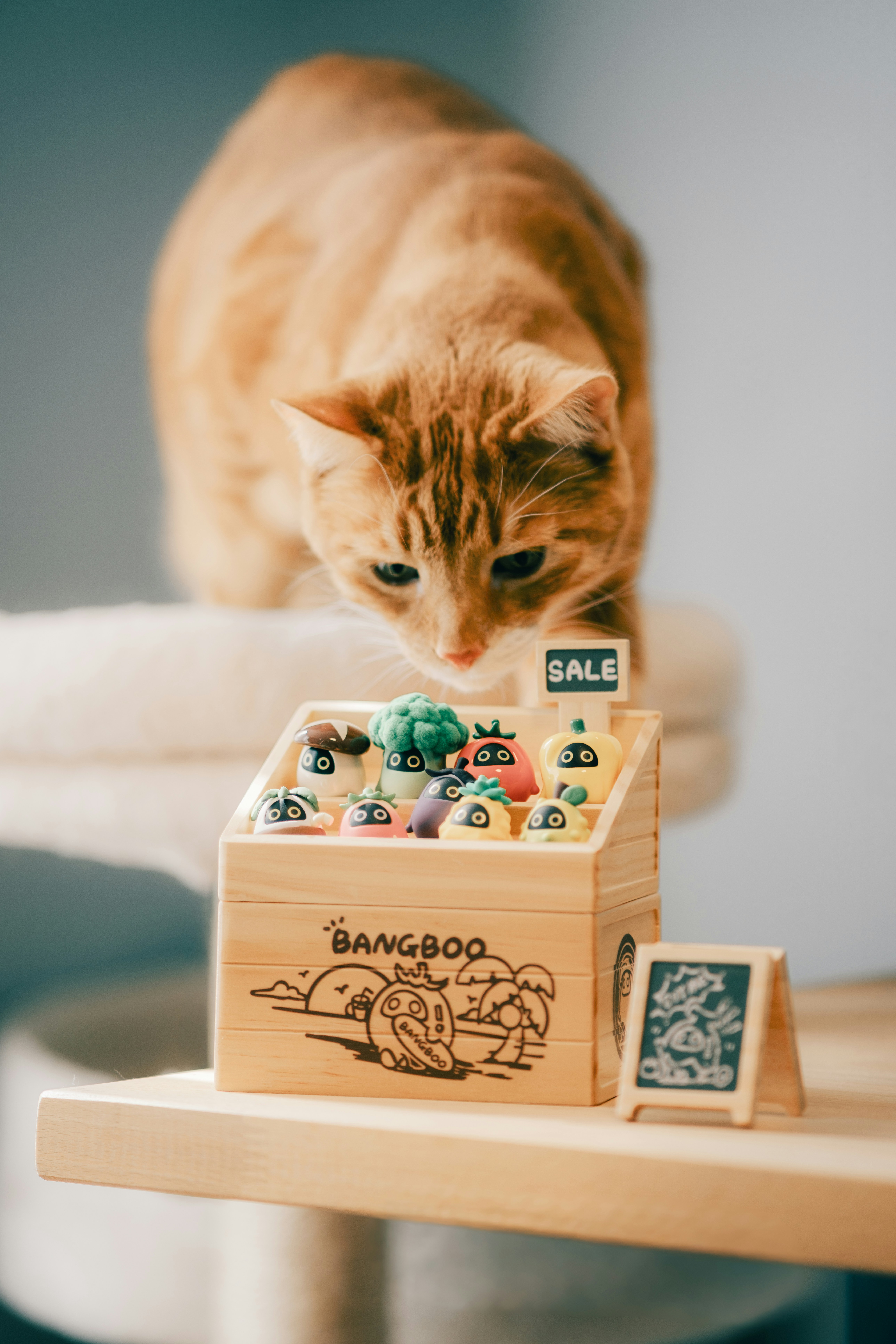 Gato laranja olha para uma caixa de madeira cheia de doces coloridos.