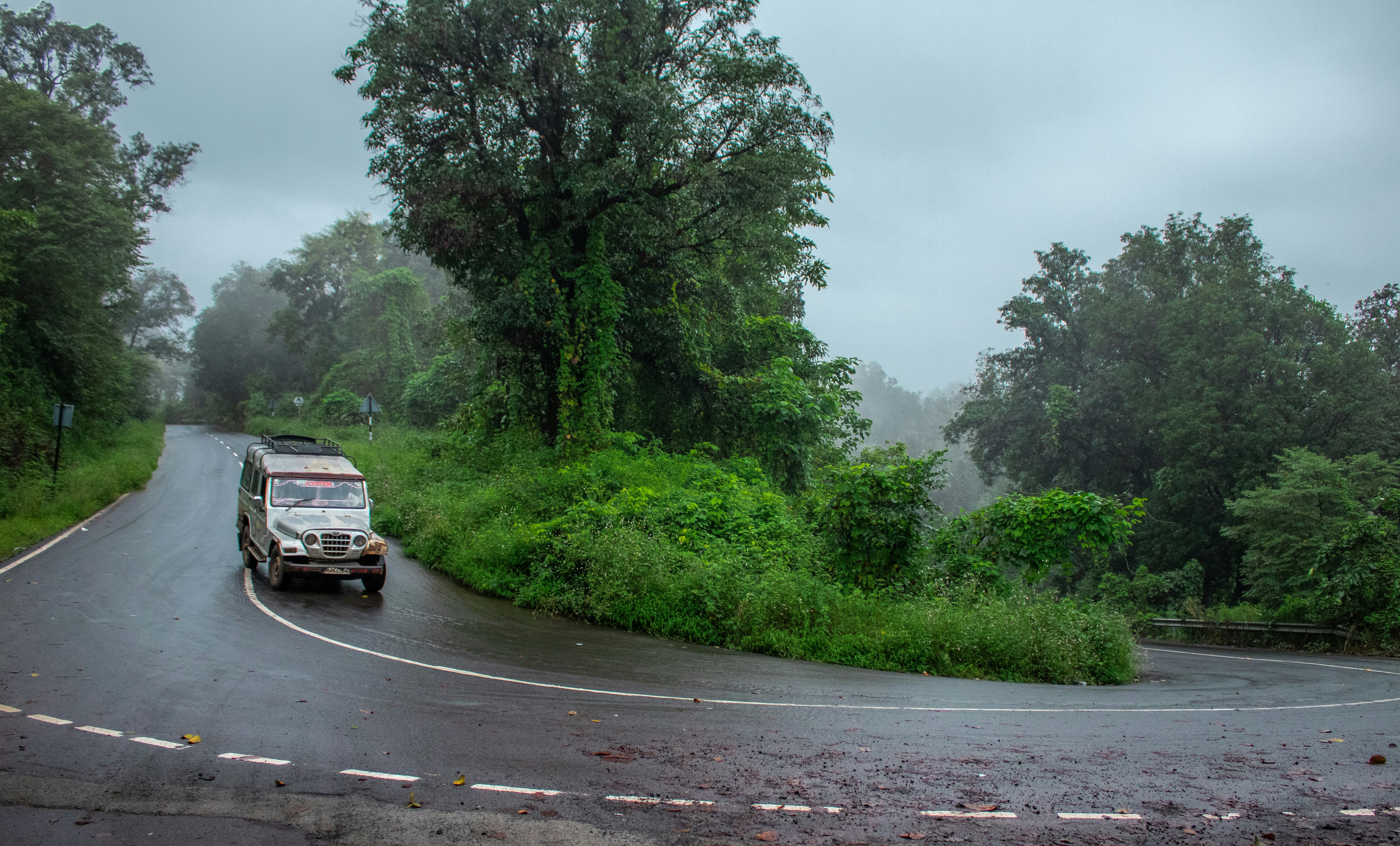 Photo by zoshuacolah