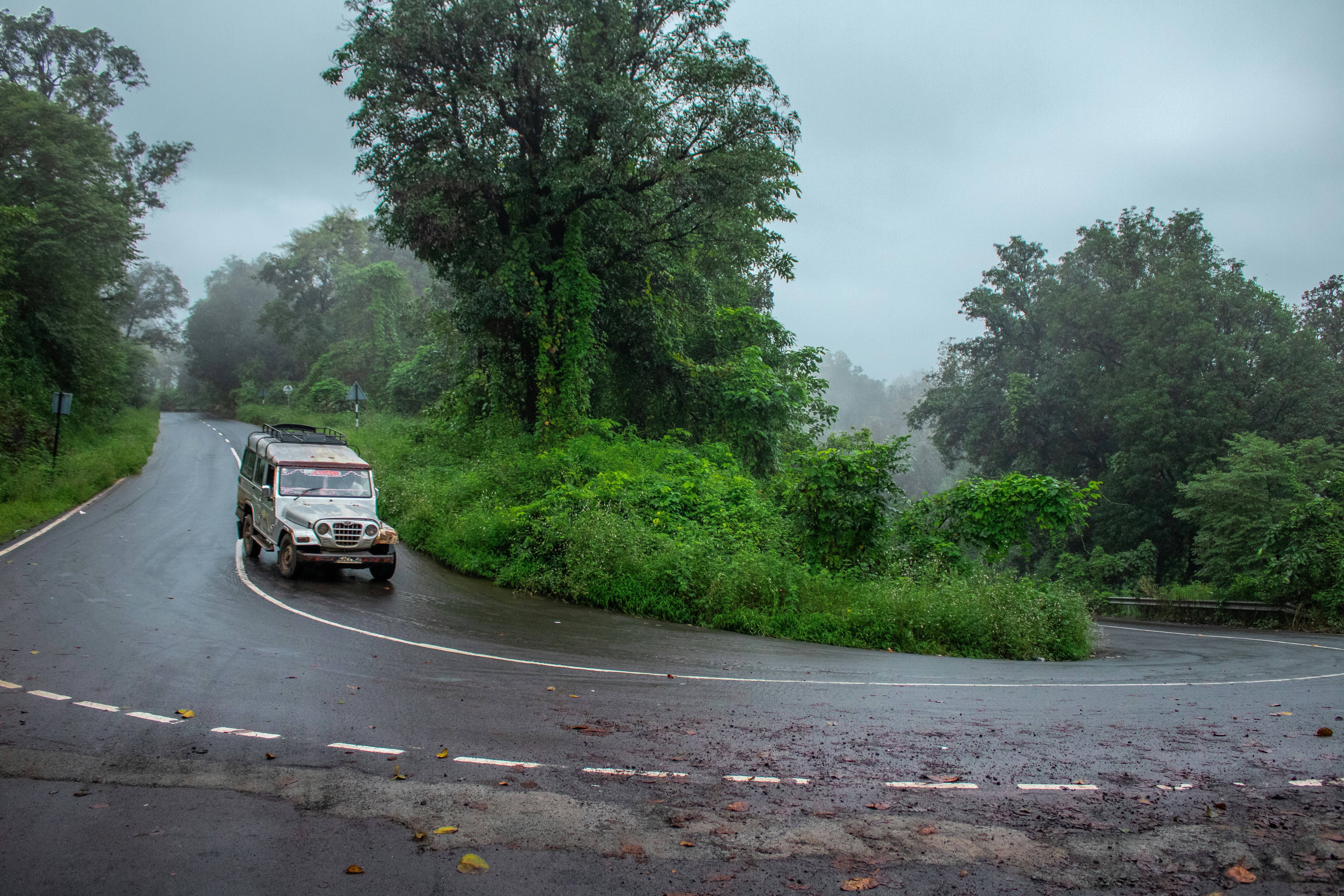 Photo by zoshuacolah