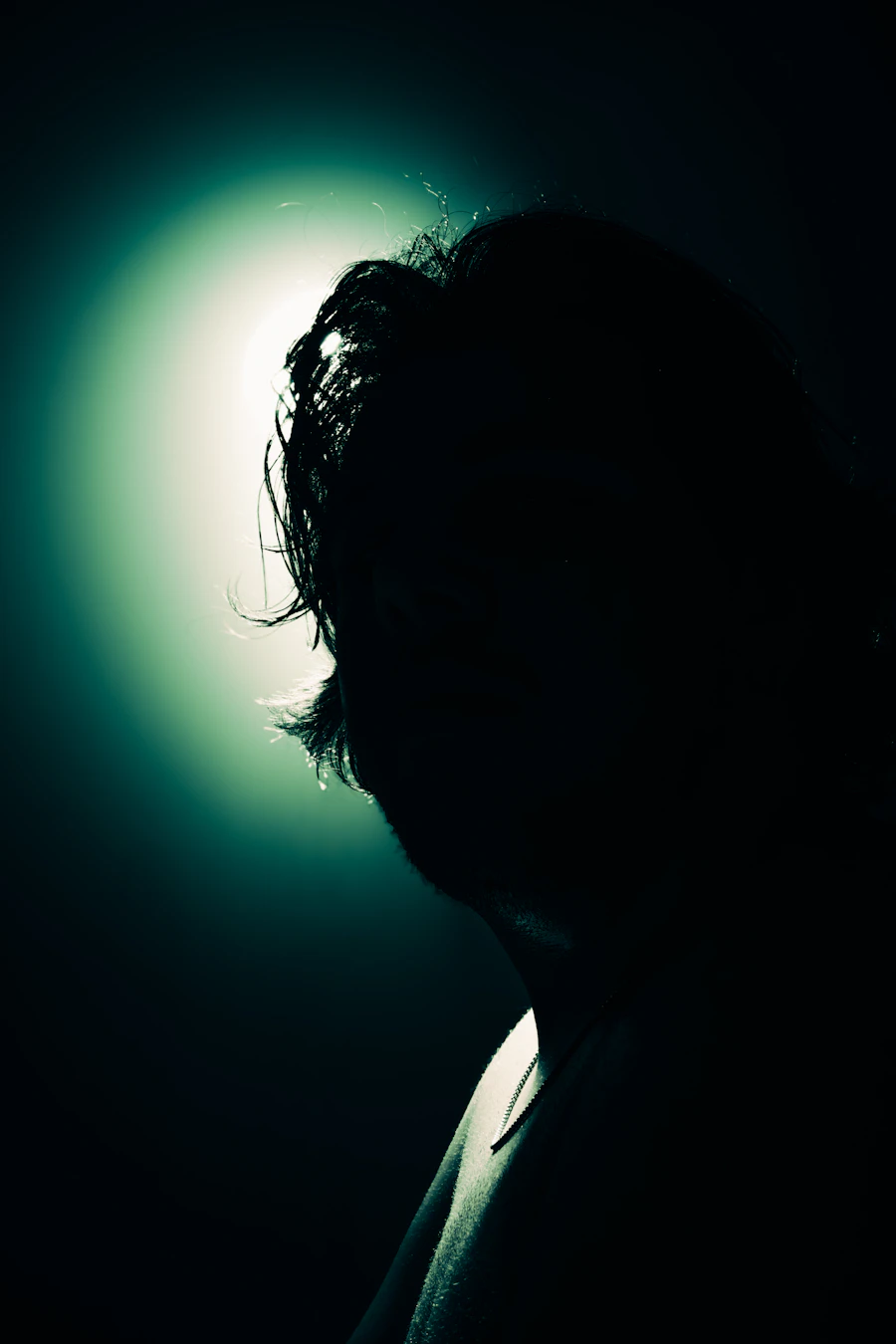 A silhouette against a pale, hazy light