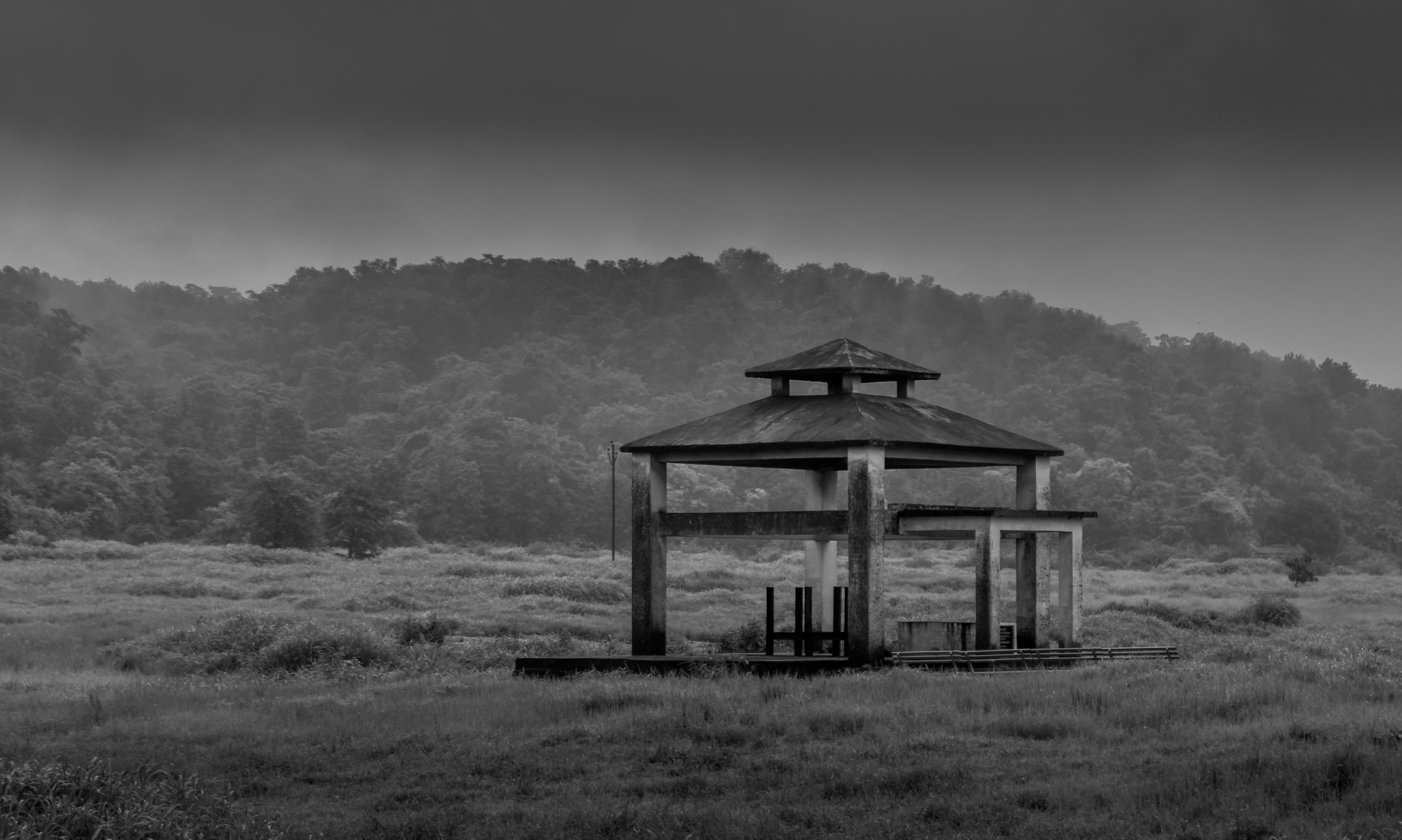 Photo by zoshuacolah