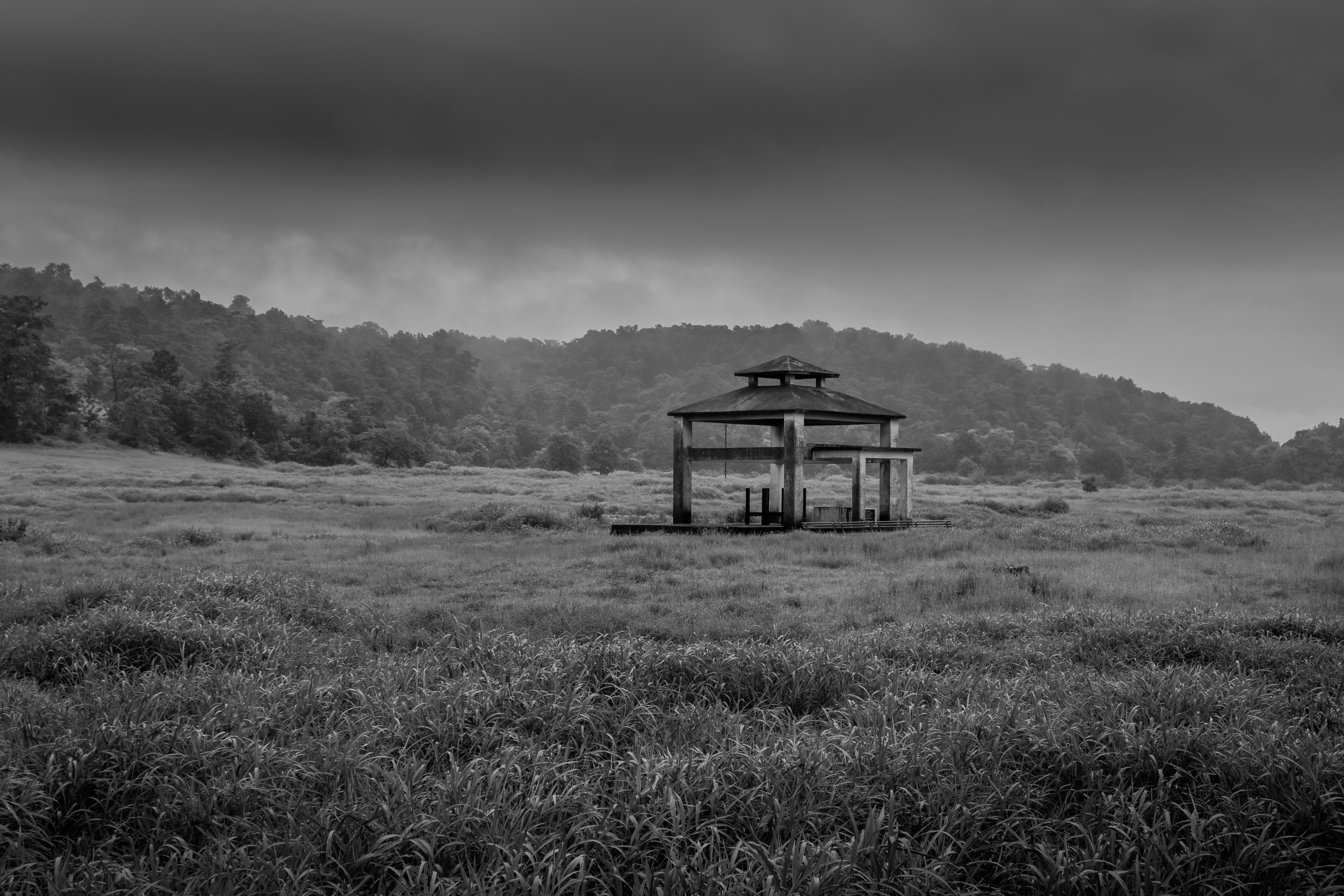 Photo by zoshuacolah