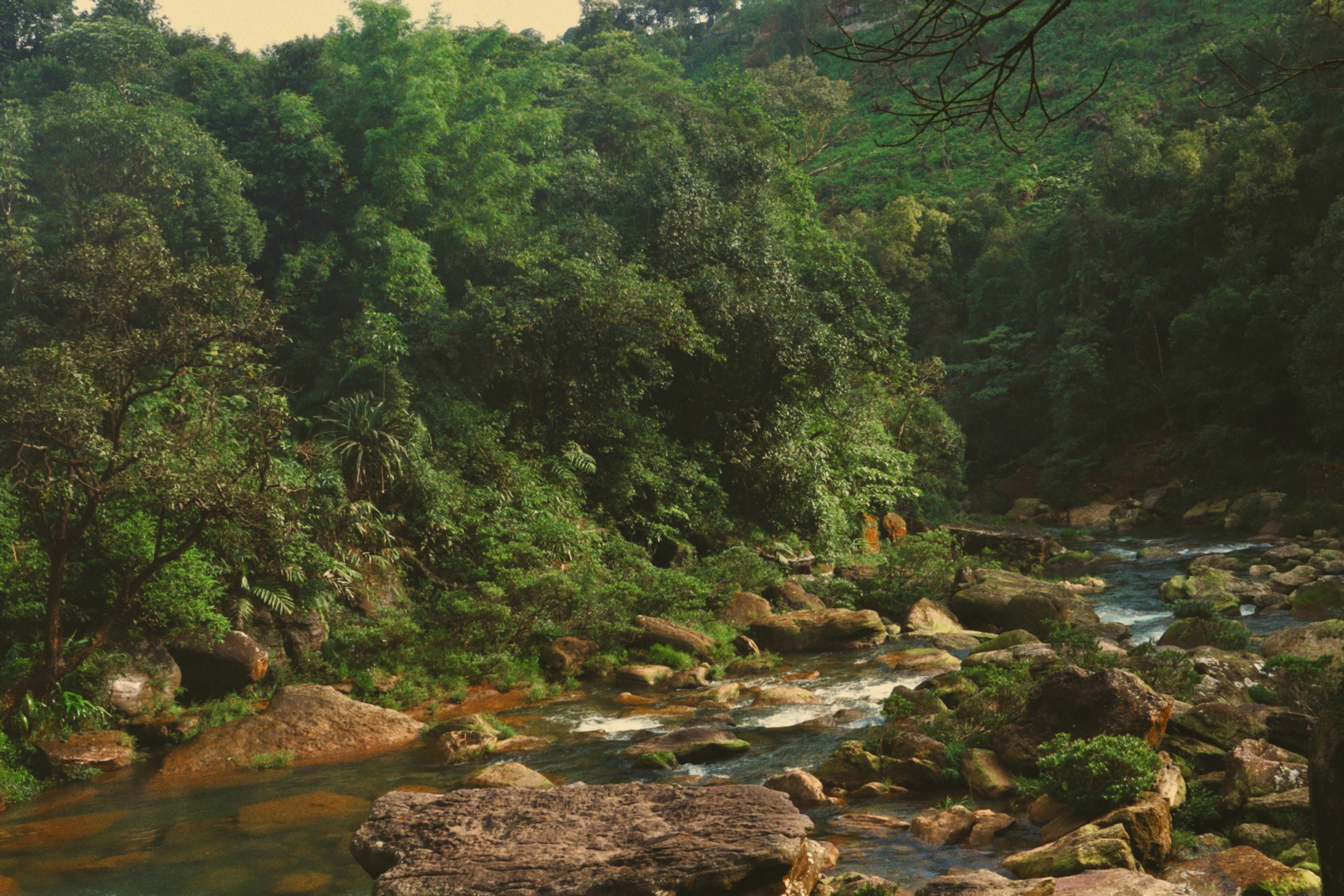 Photo by aryasphotodiary