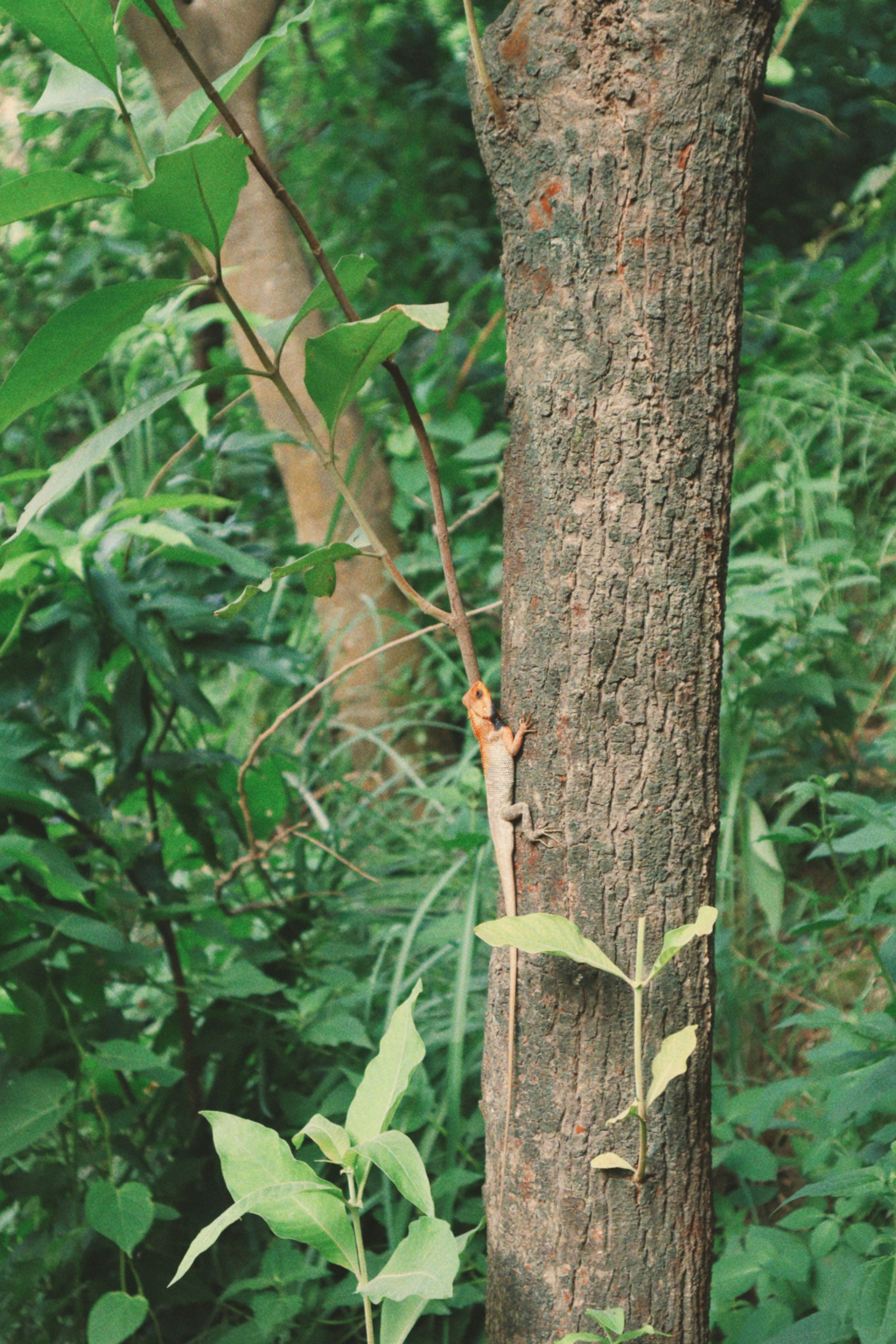 Photo by aryasphotodiary