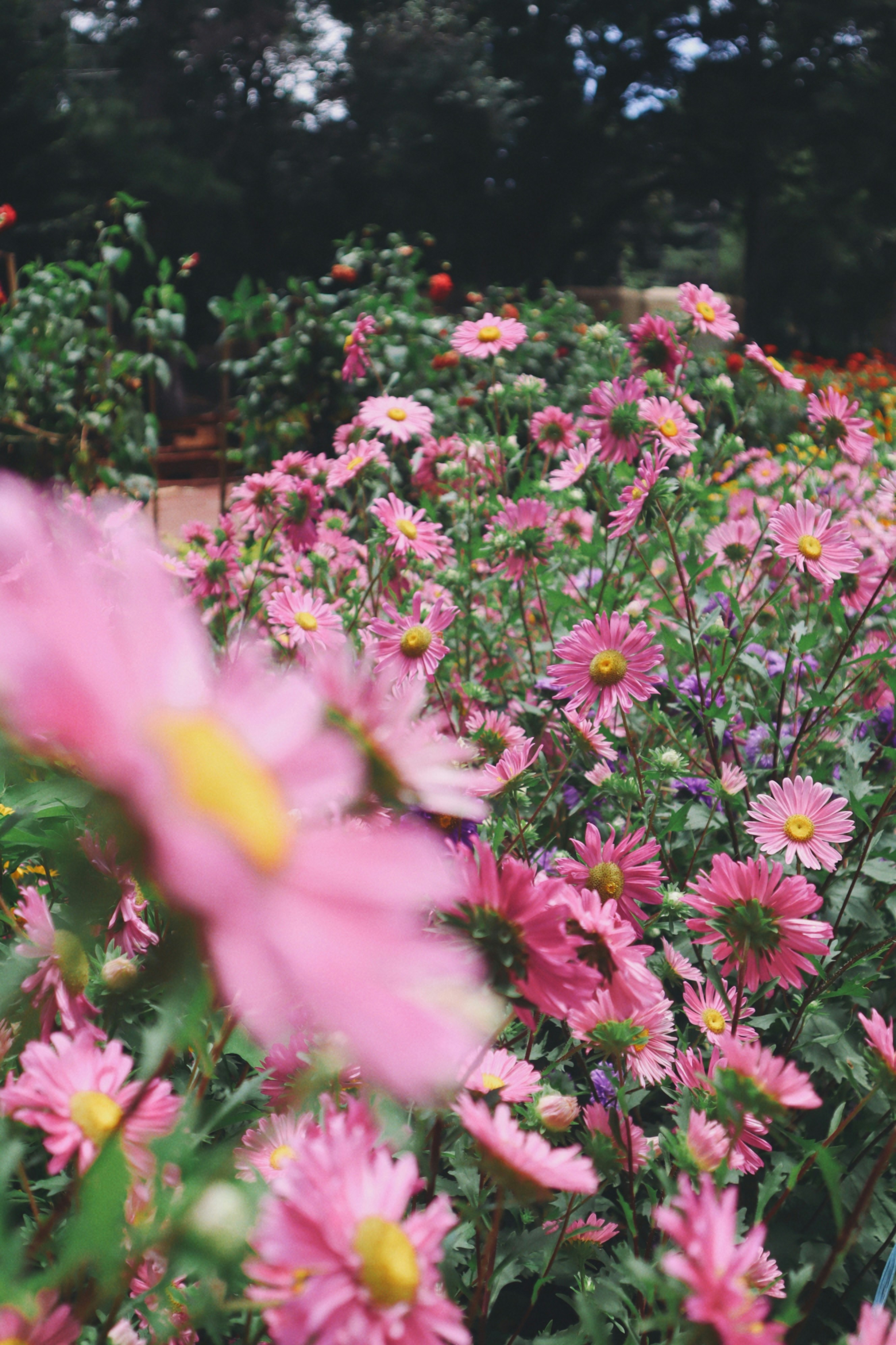 Photo by aryasphotodiary