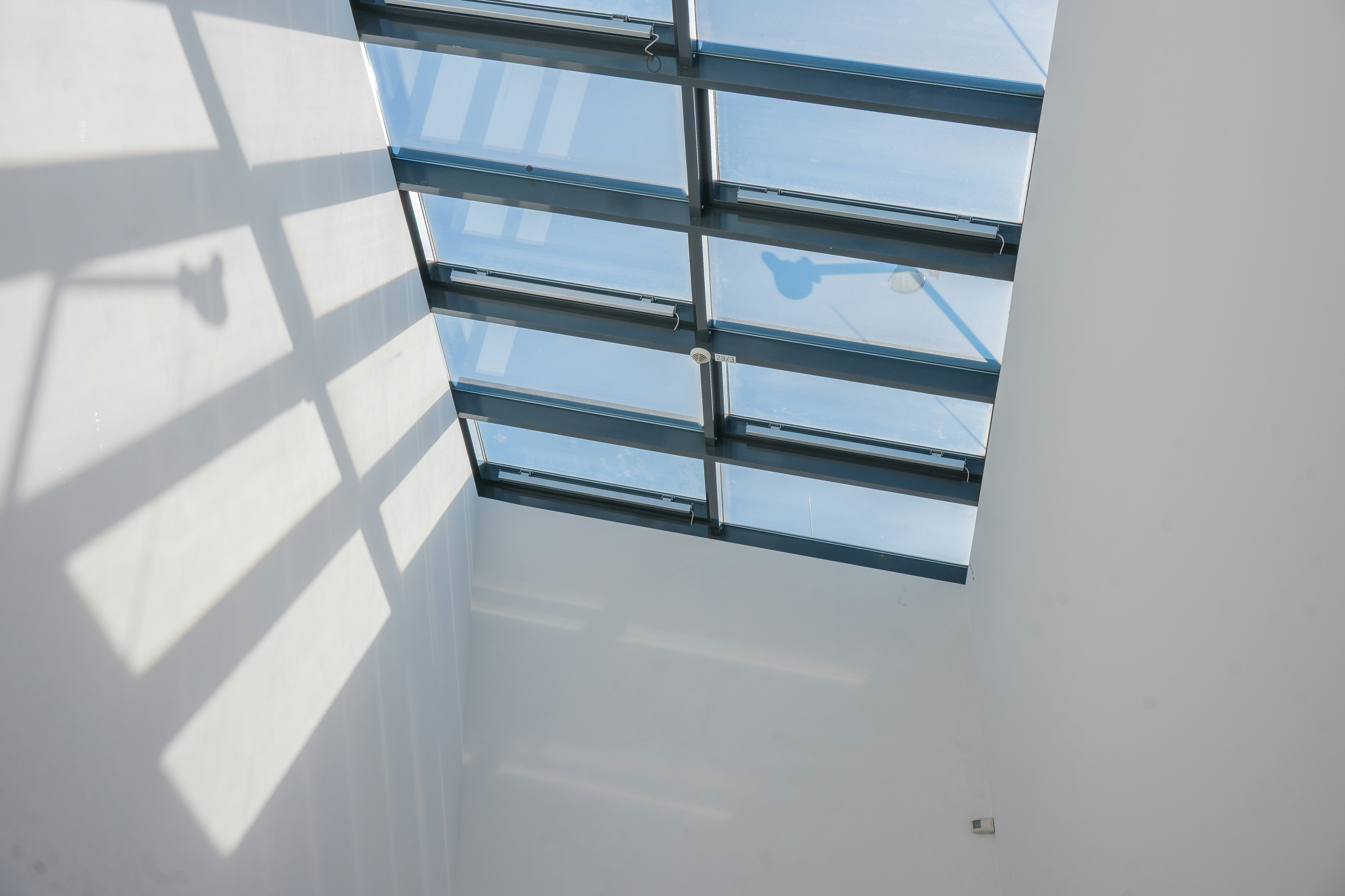 Photo by justmejuliee