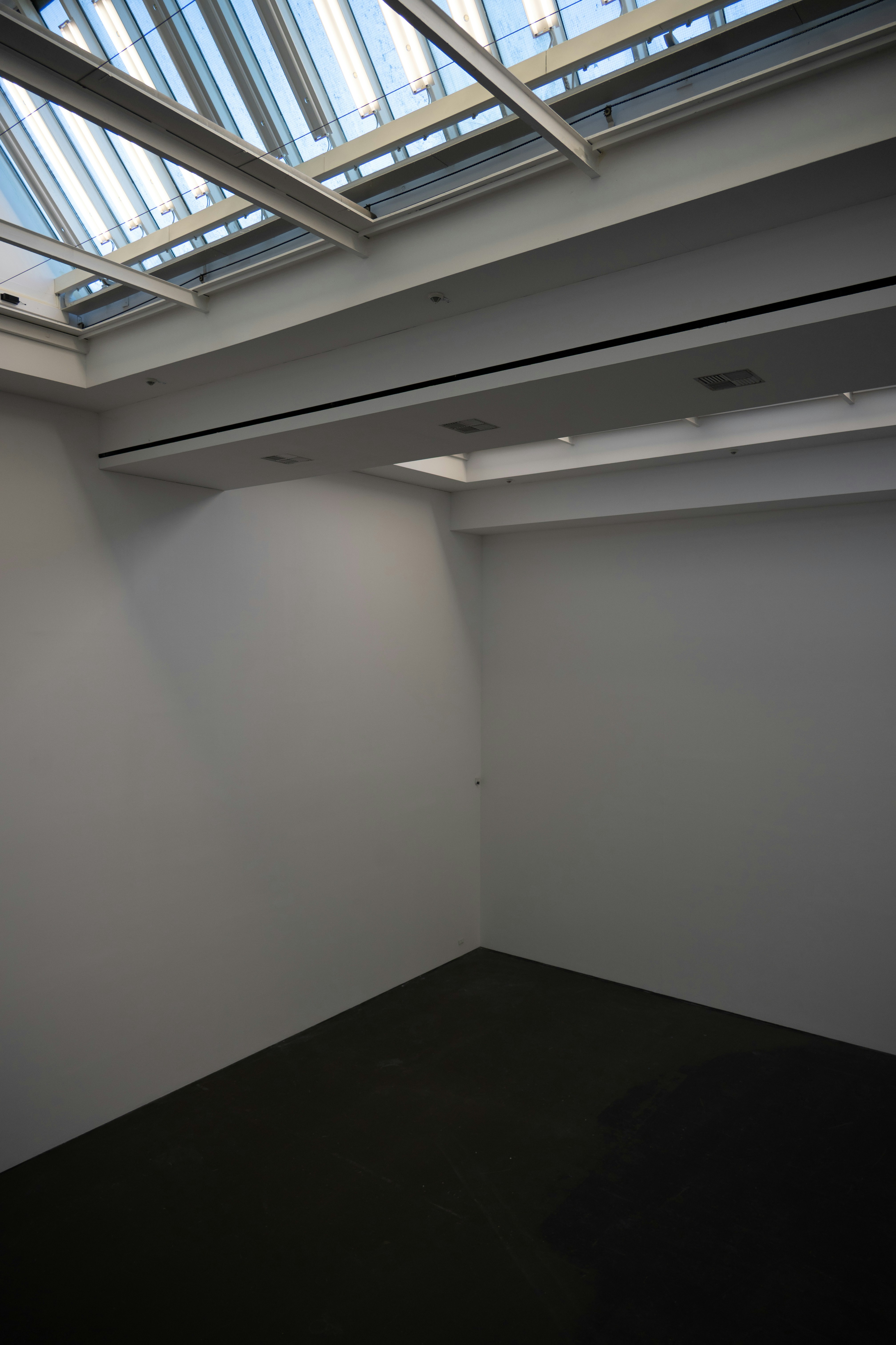 Photo by justmejuliee