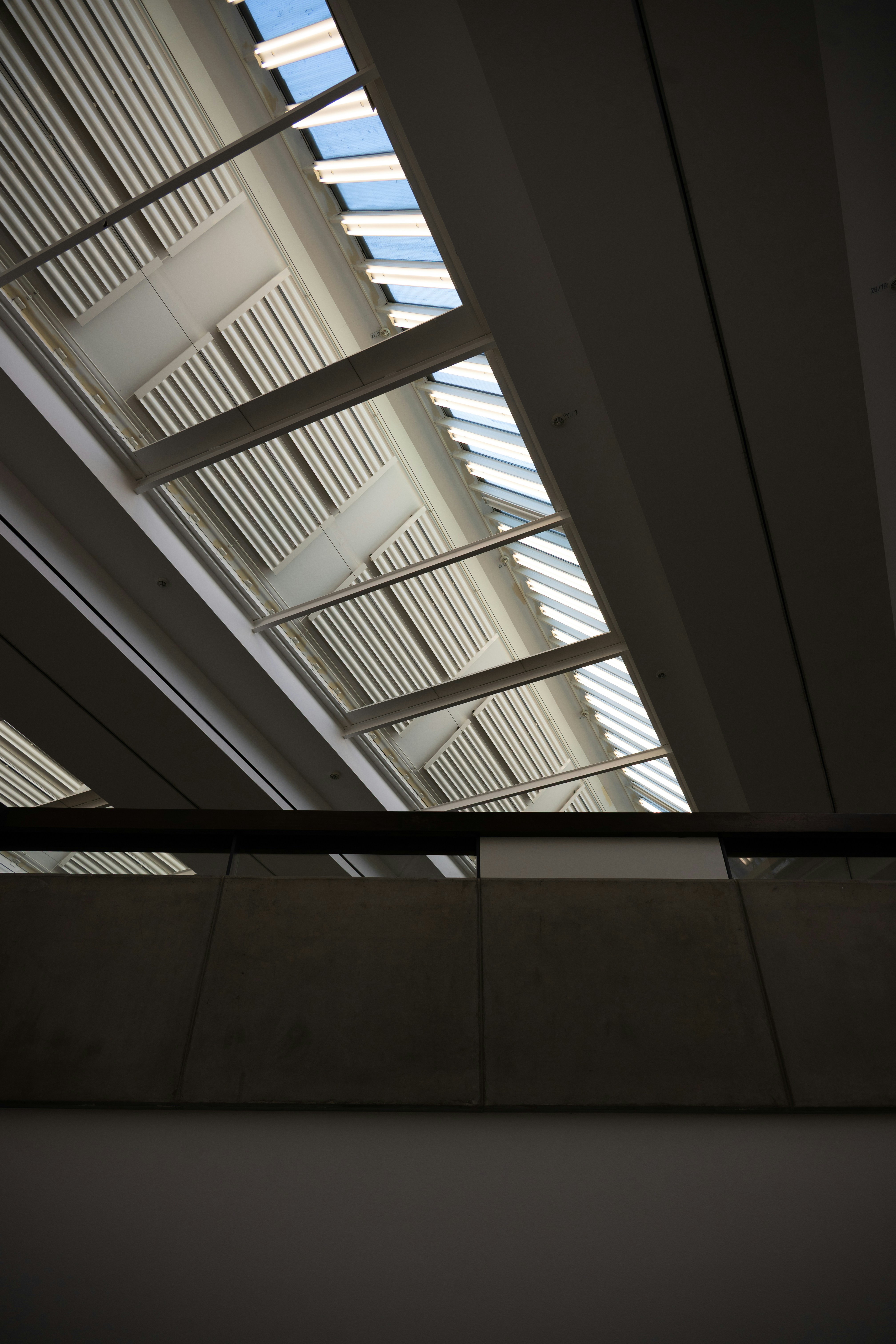 Photo by justmejuliee