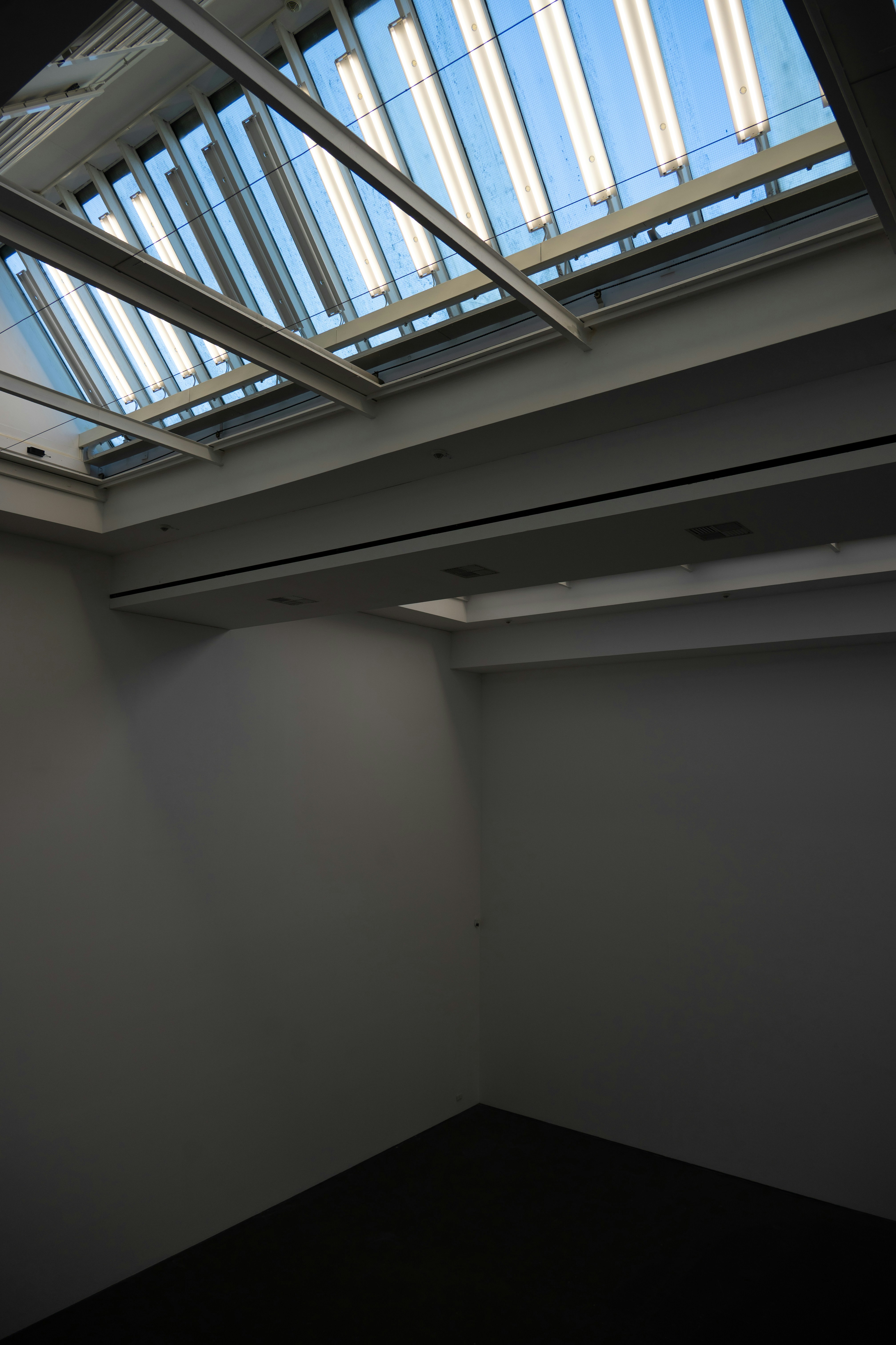 Photo by justmejuliee