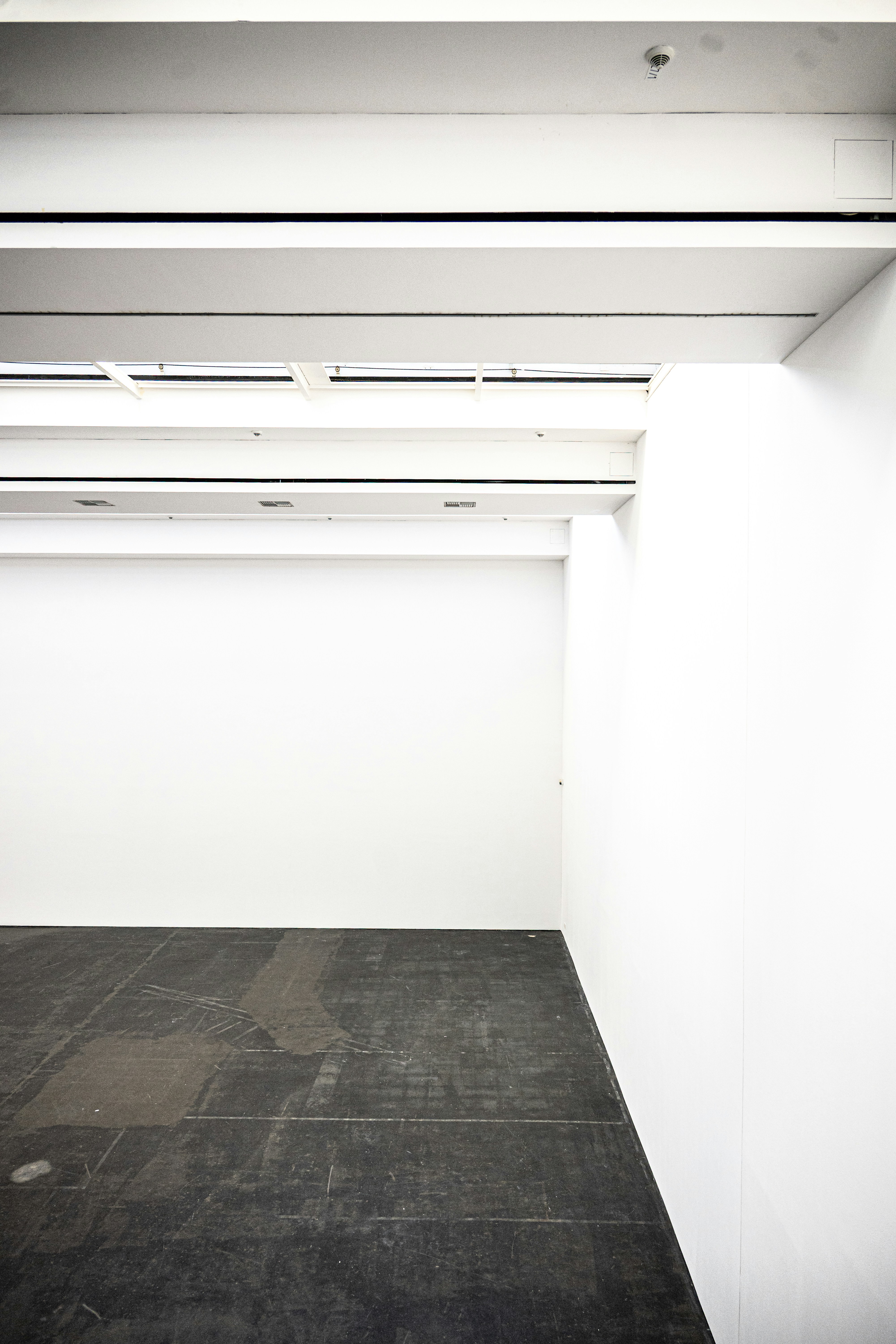 Photo by justmejuliee