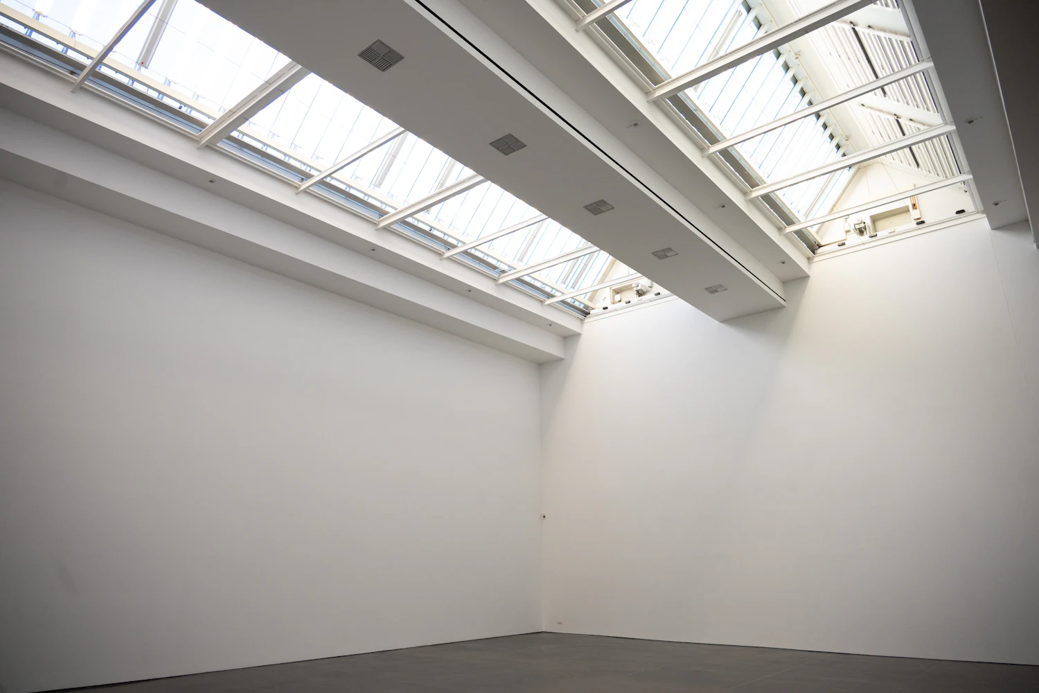 An empty white gallery room lit from above through a long run of skylights, grey concrete floor