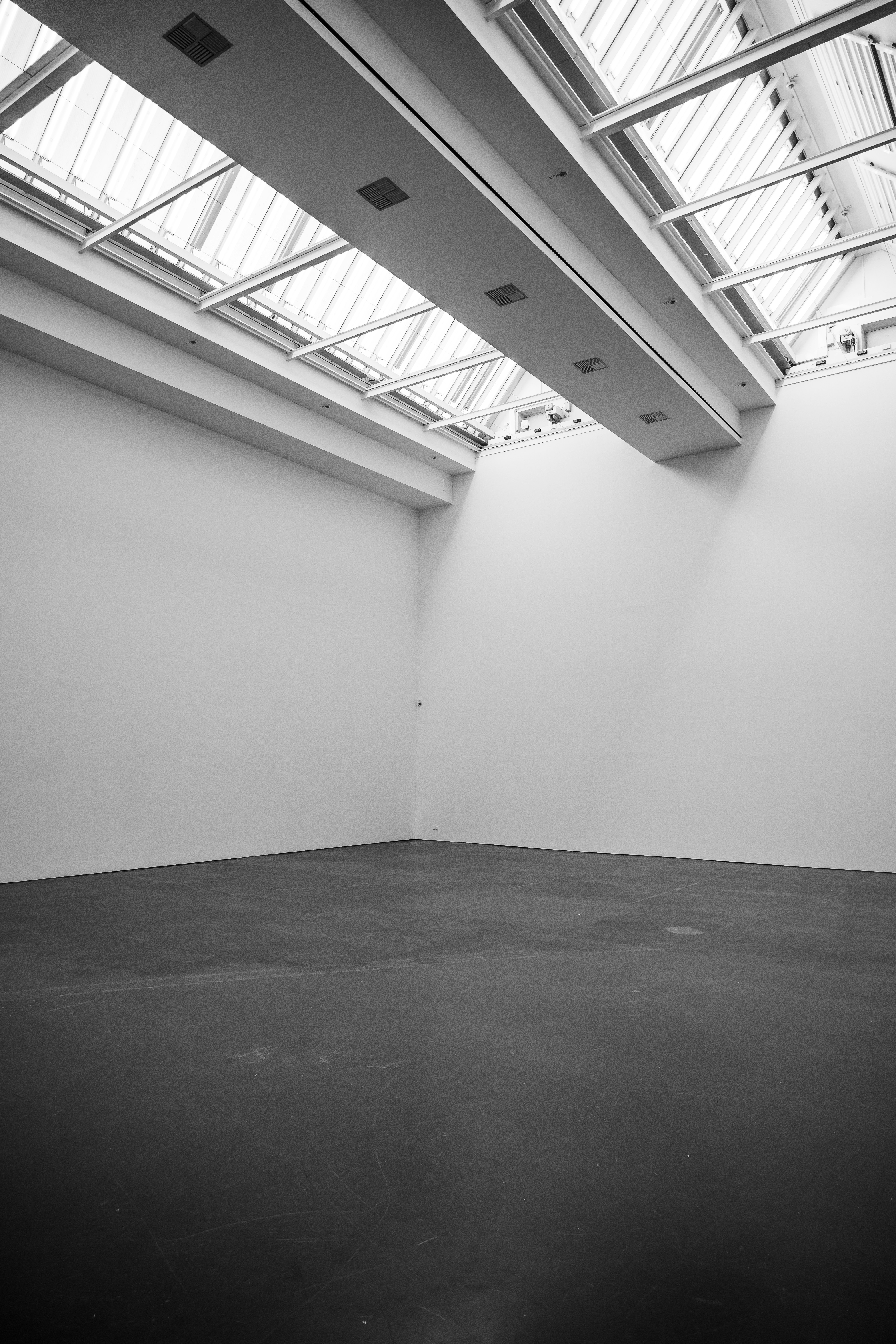 Photo by justmejuliee