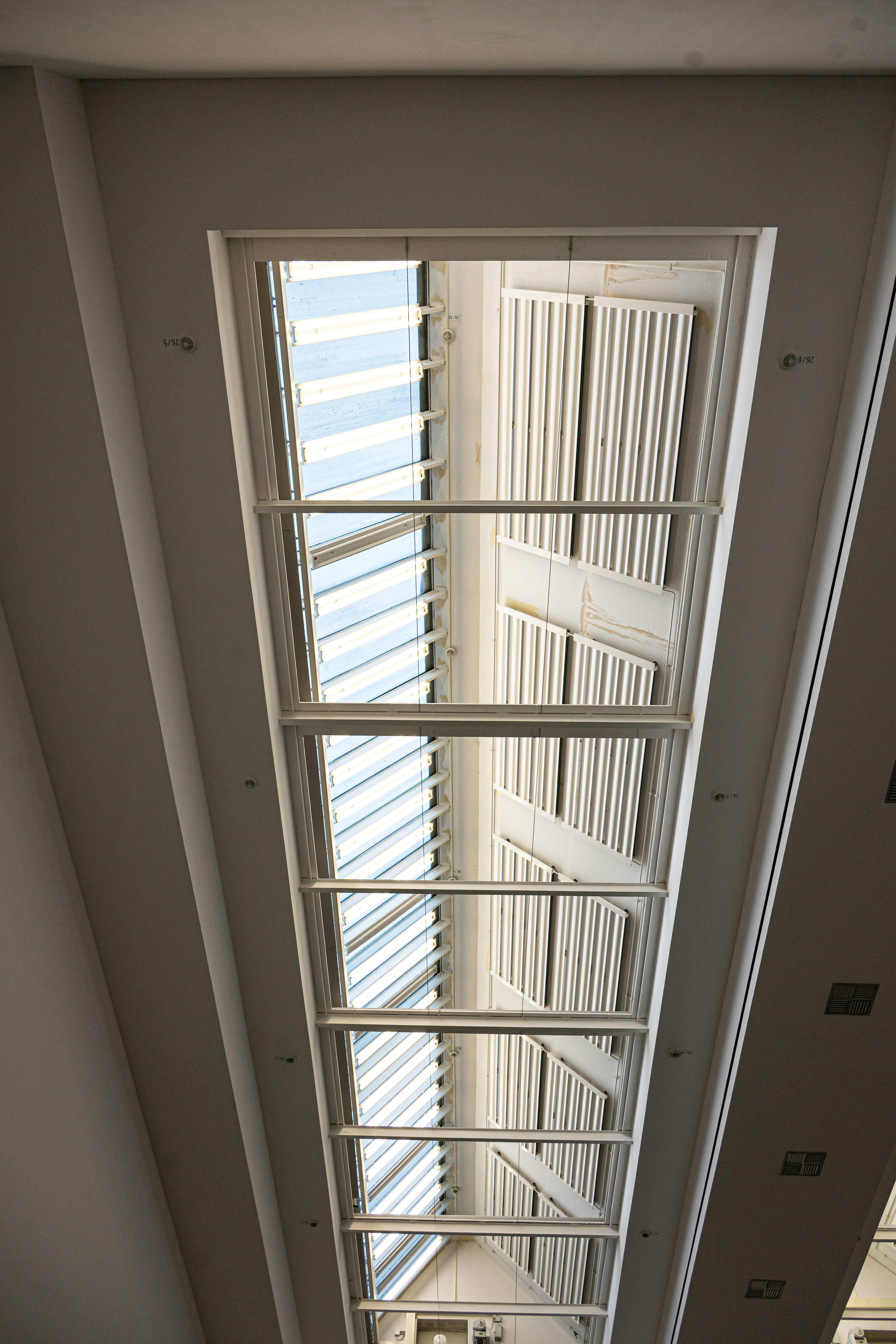 Photo by justmejuliee