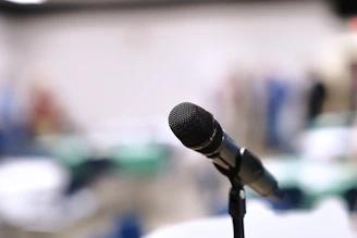 A microphone stands on a stand in an empty room