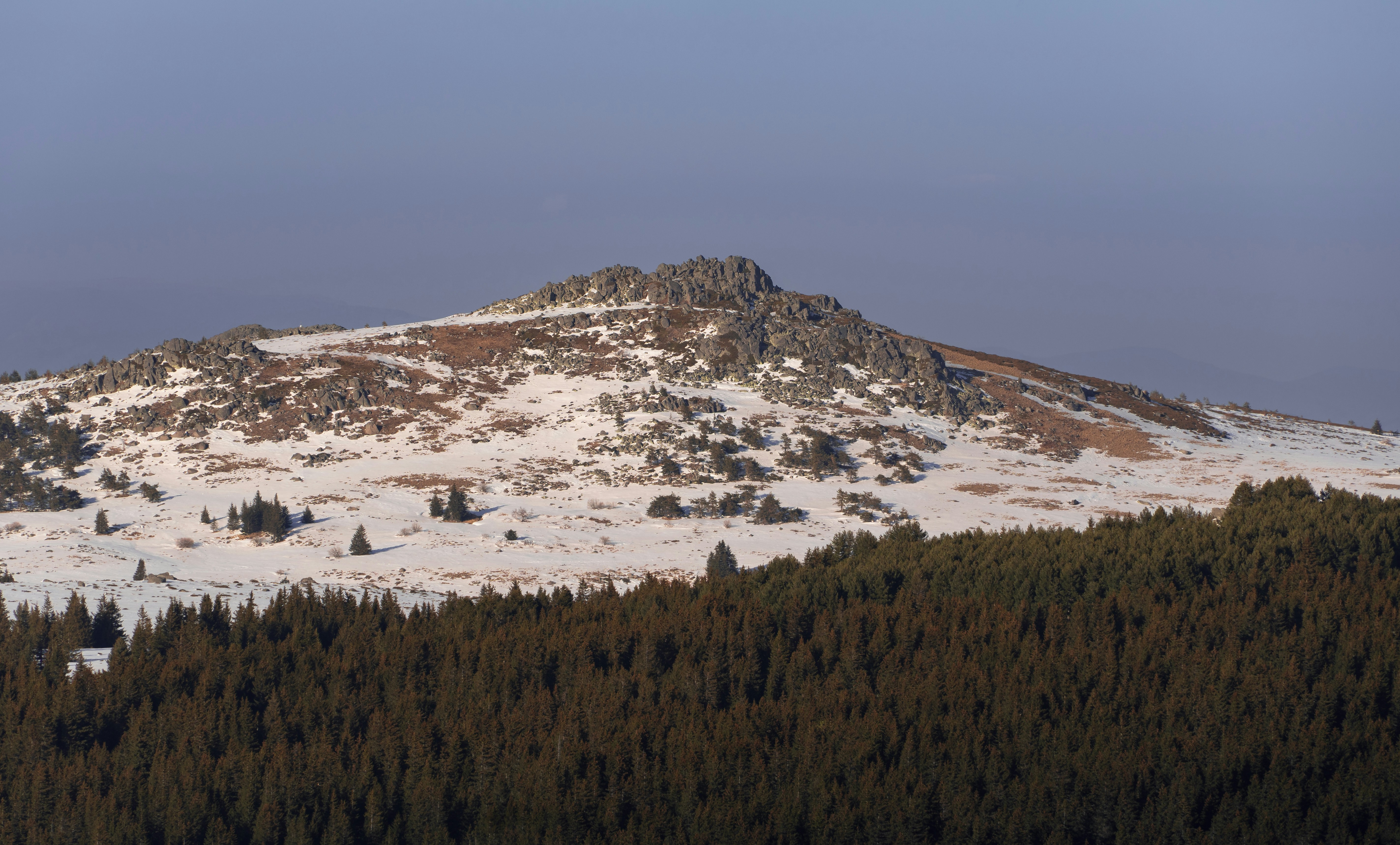 Site 29