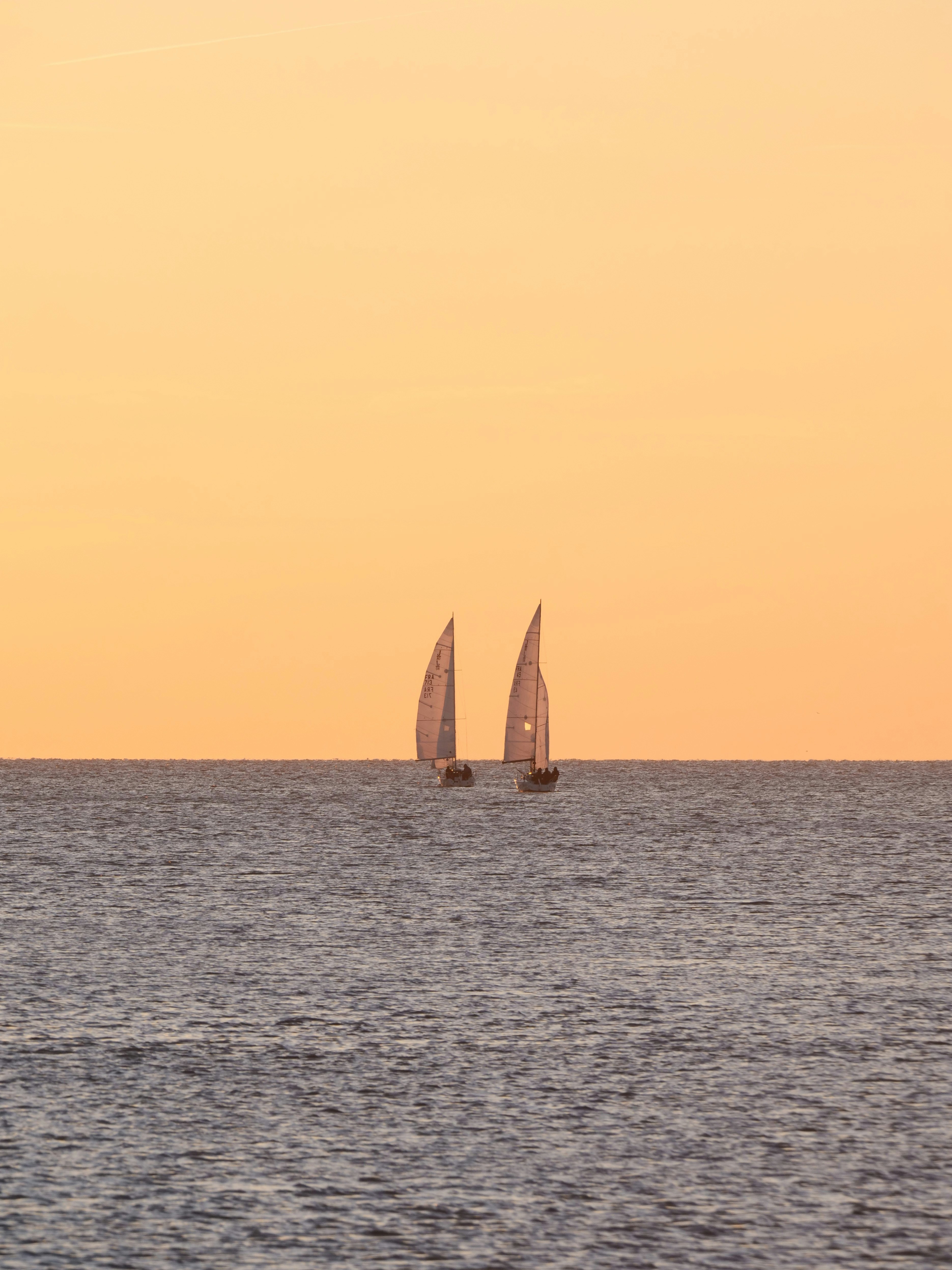 Photo by nimbus_vulpis