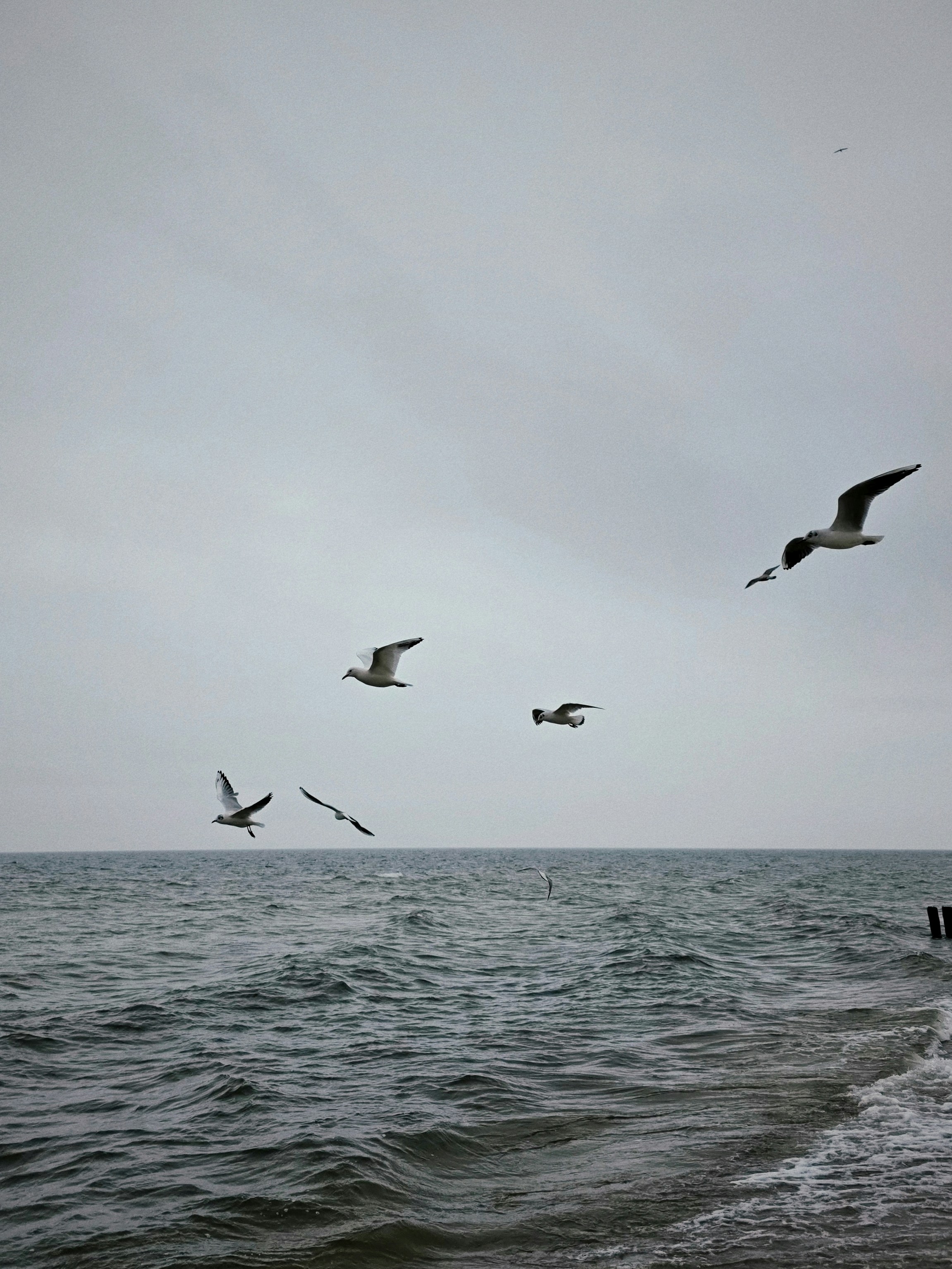 Photo by vladizlo