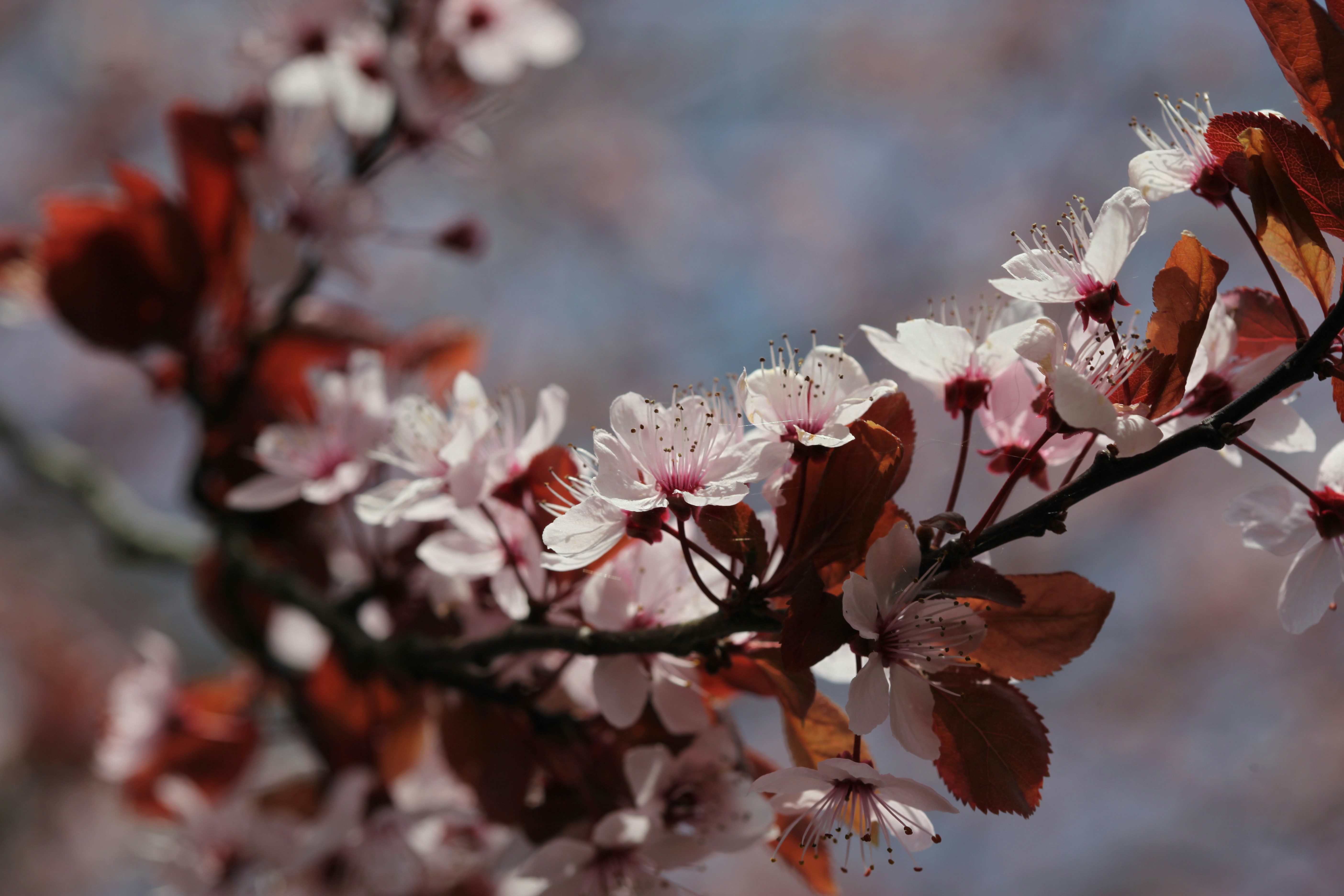 Photo by arwen42