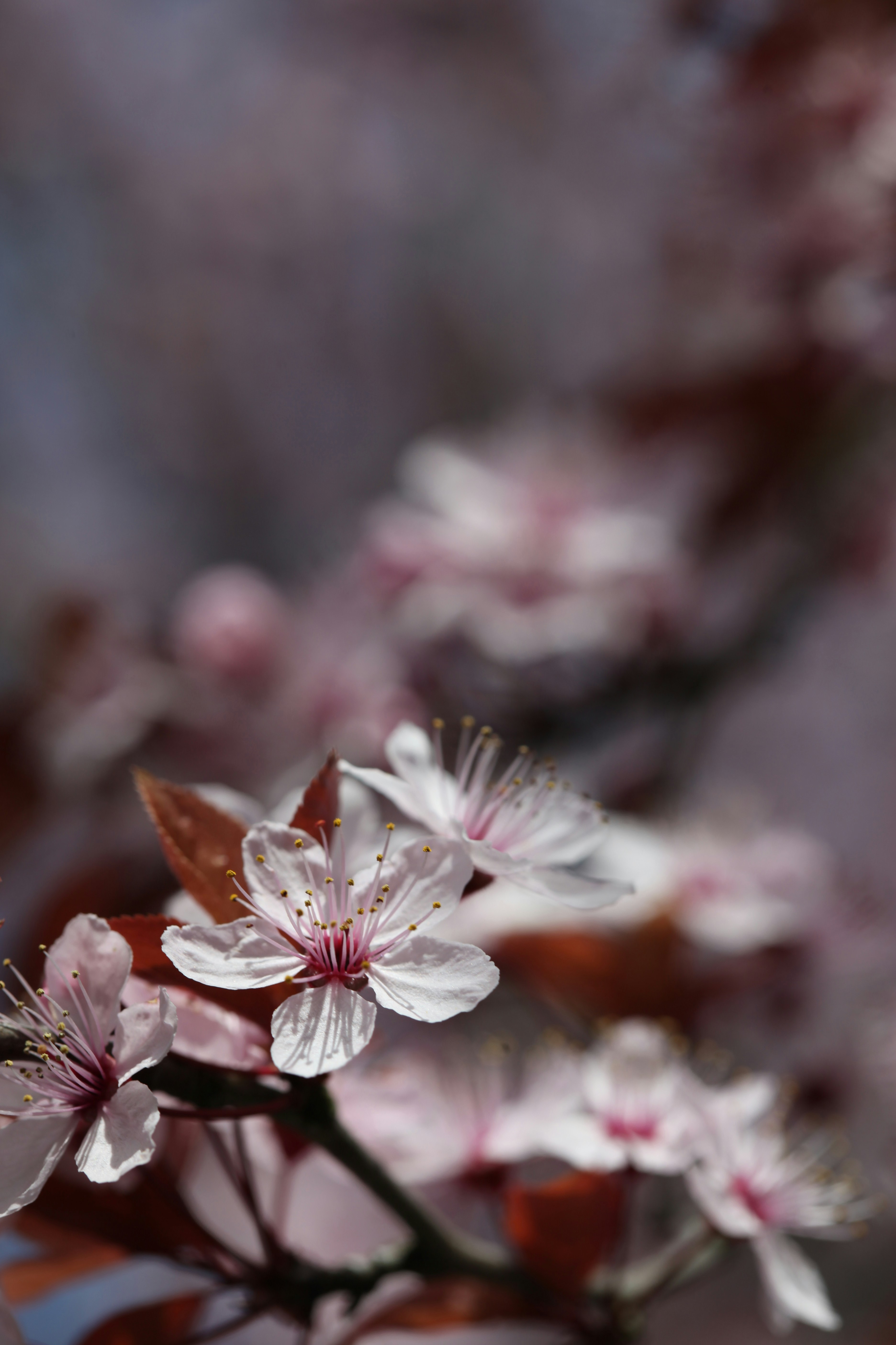 Photo by arwen42
