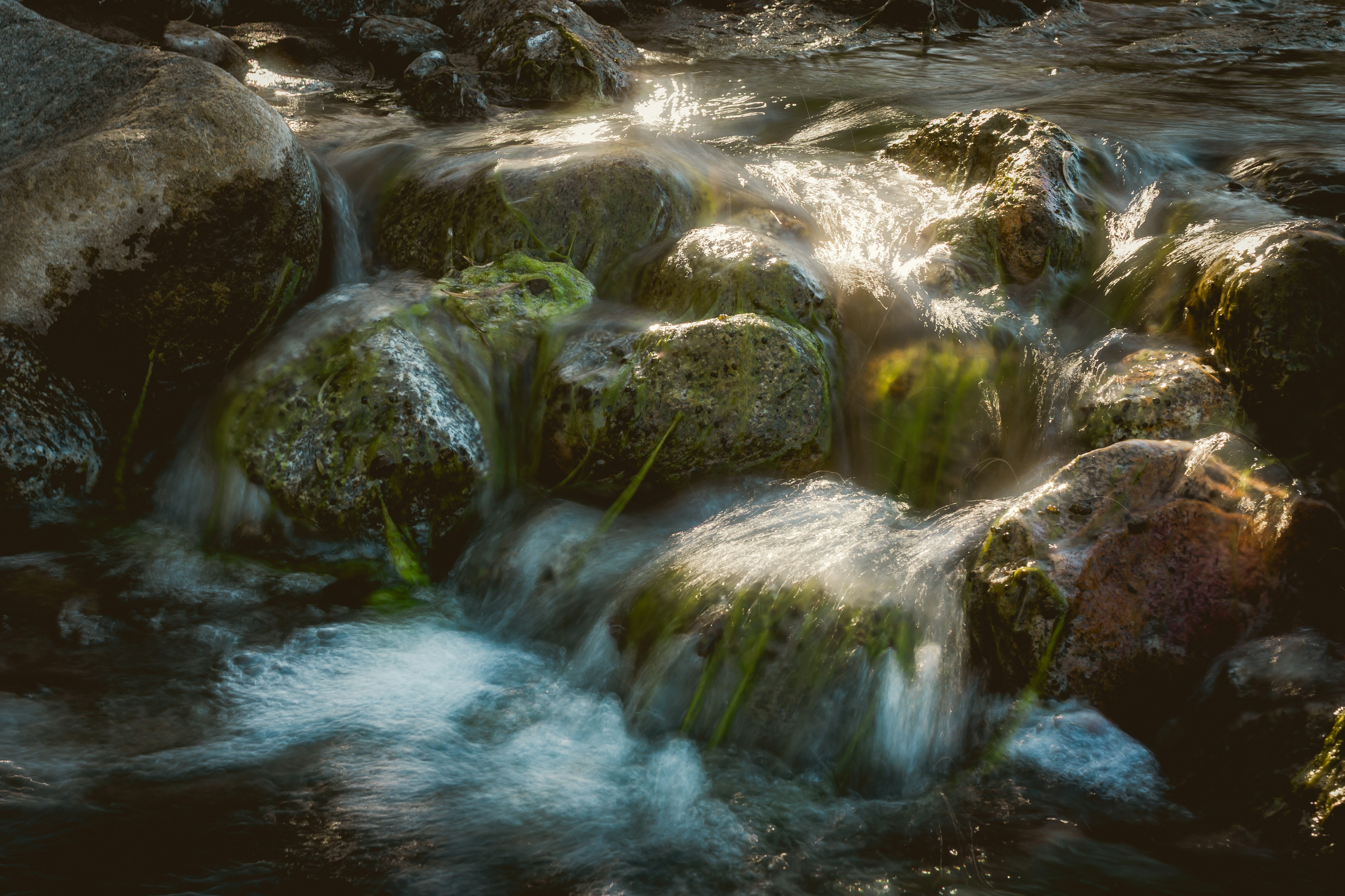 Water flowing over mossy rocks in a stream.