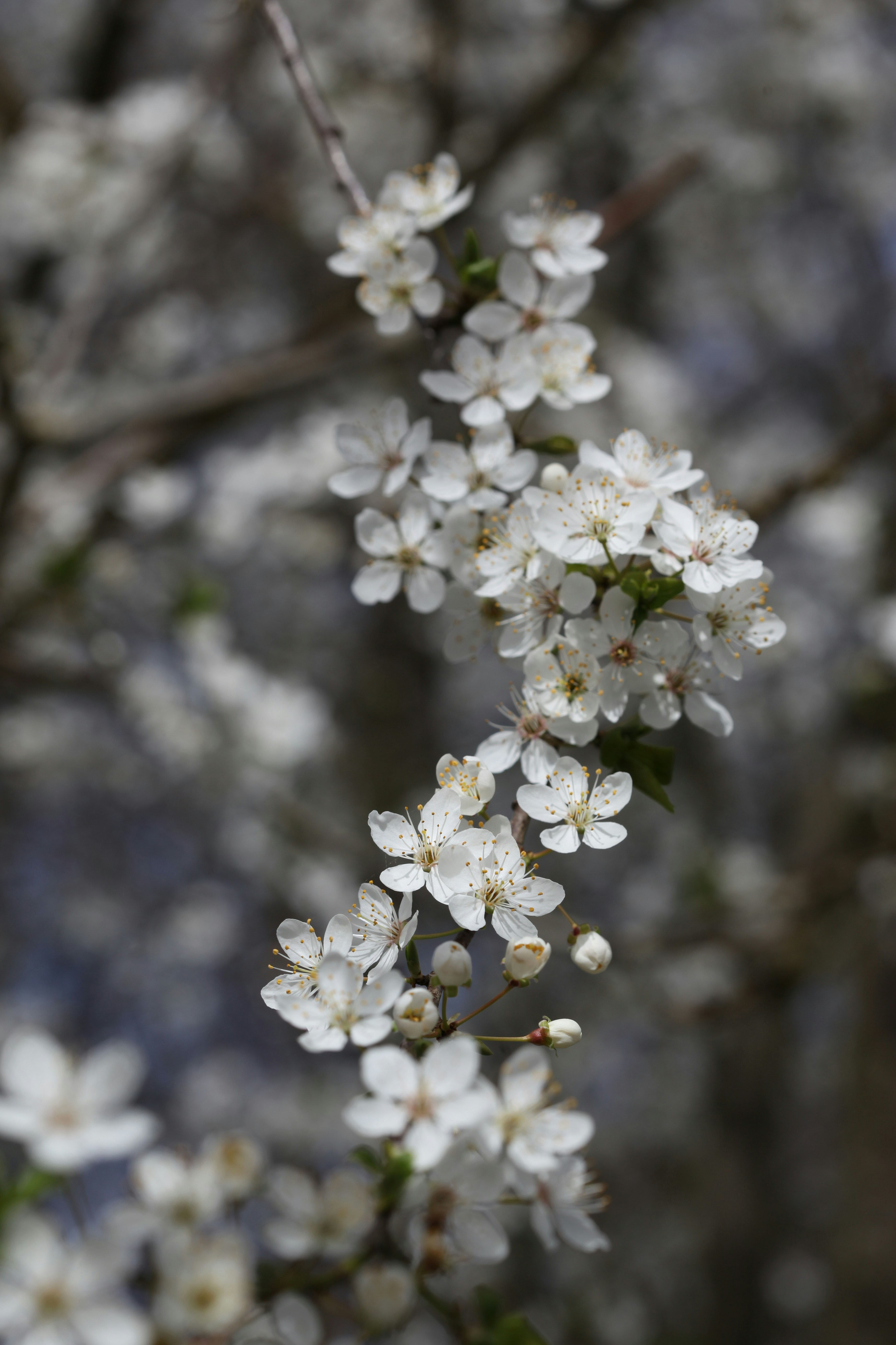 Photo by arwen42