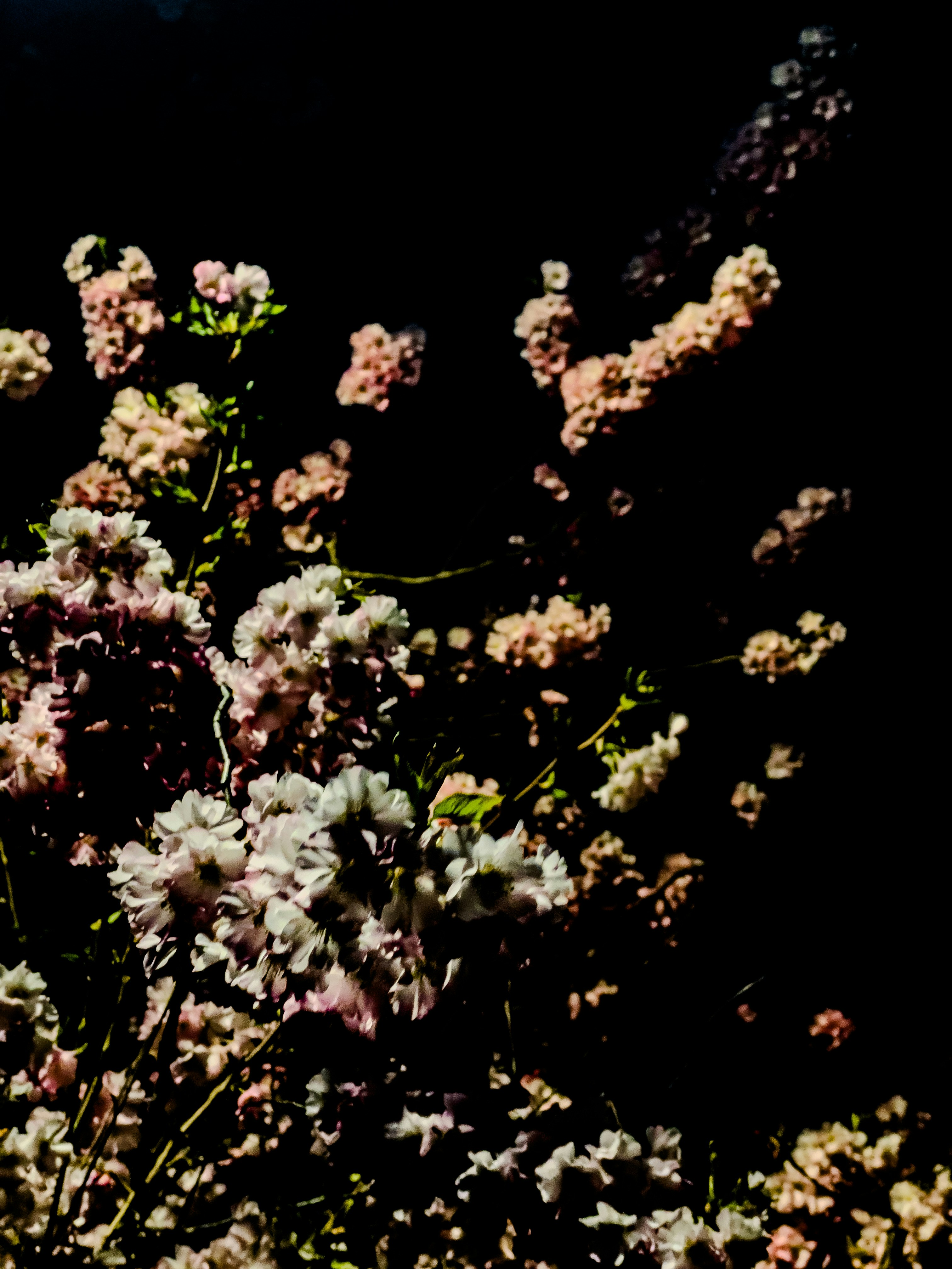 Photo by hdbernd