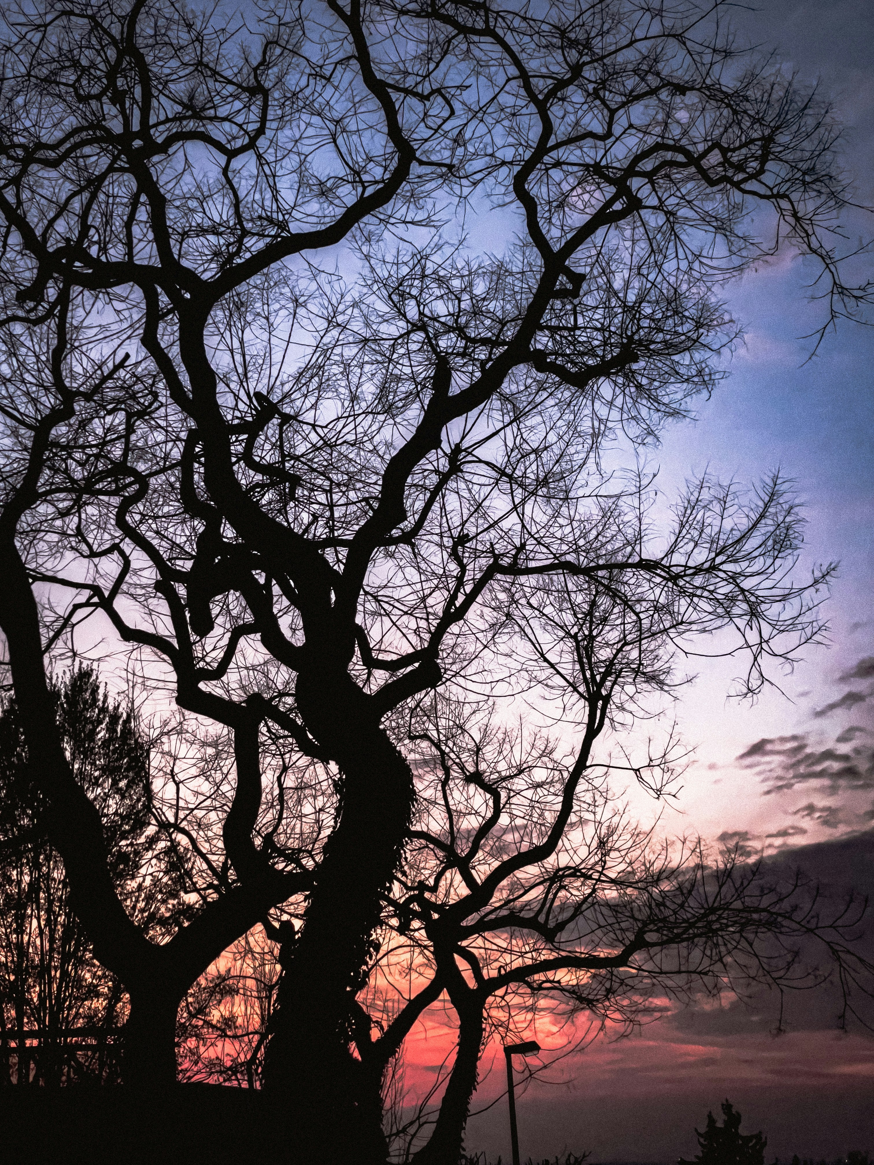 Photo by hdbernd