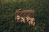 Wicker basket with 'one' banner and teddy bear on grass