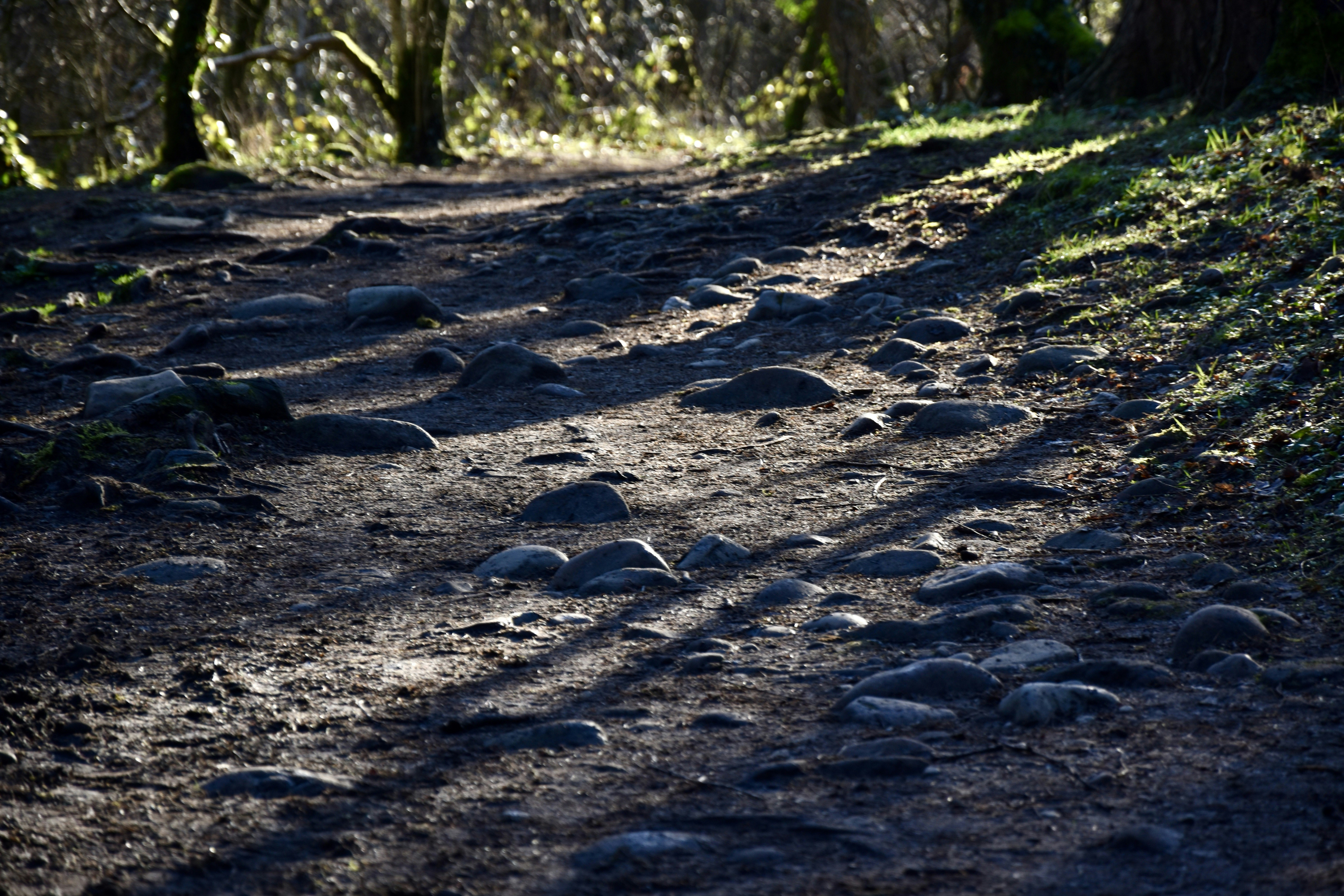 Photo by max_brindley