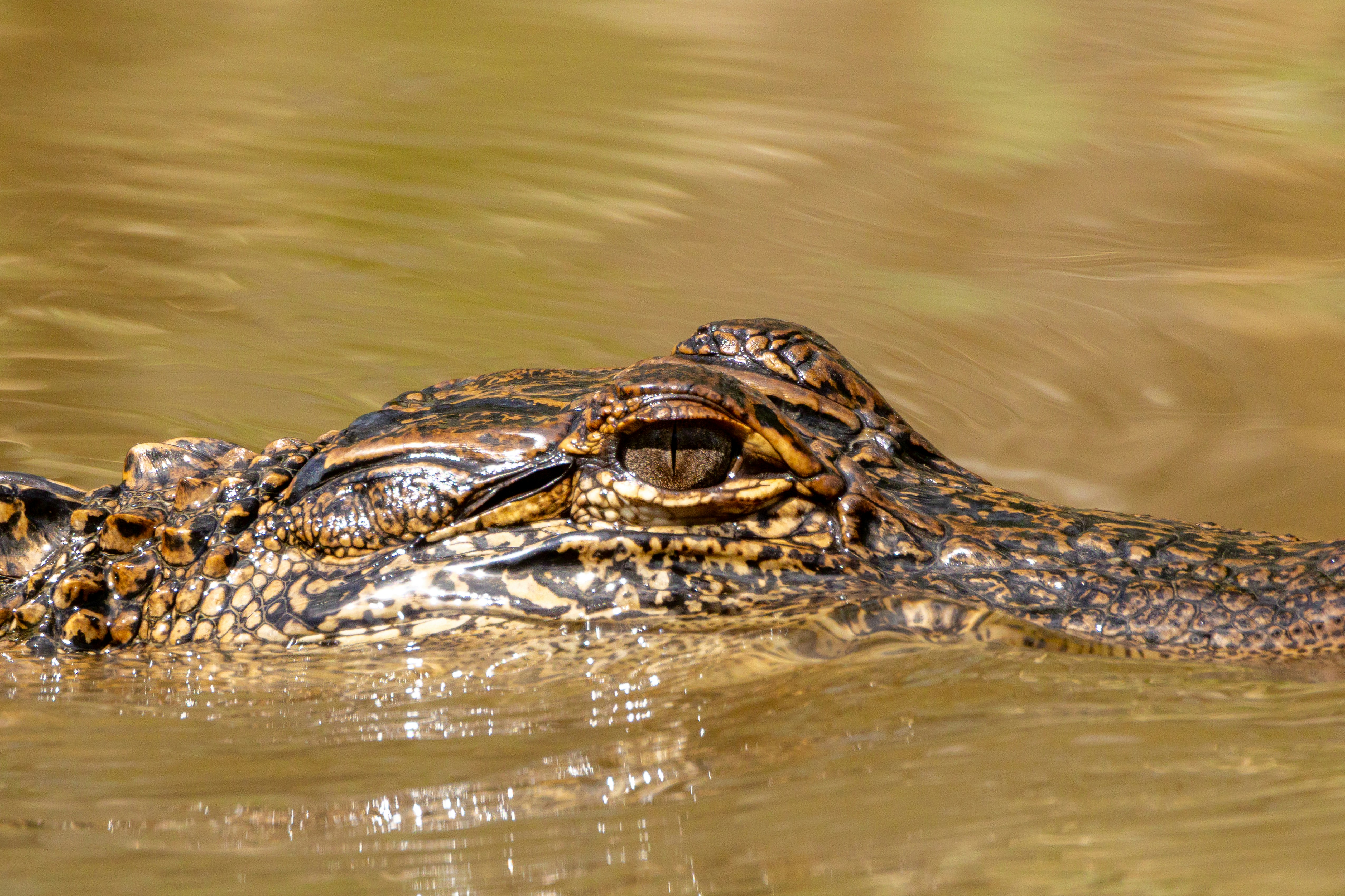 Photo by samarthkuls