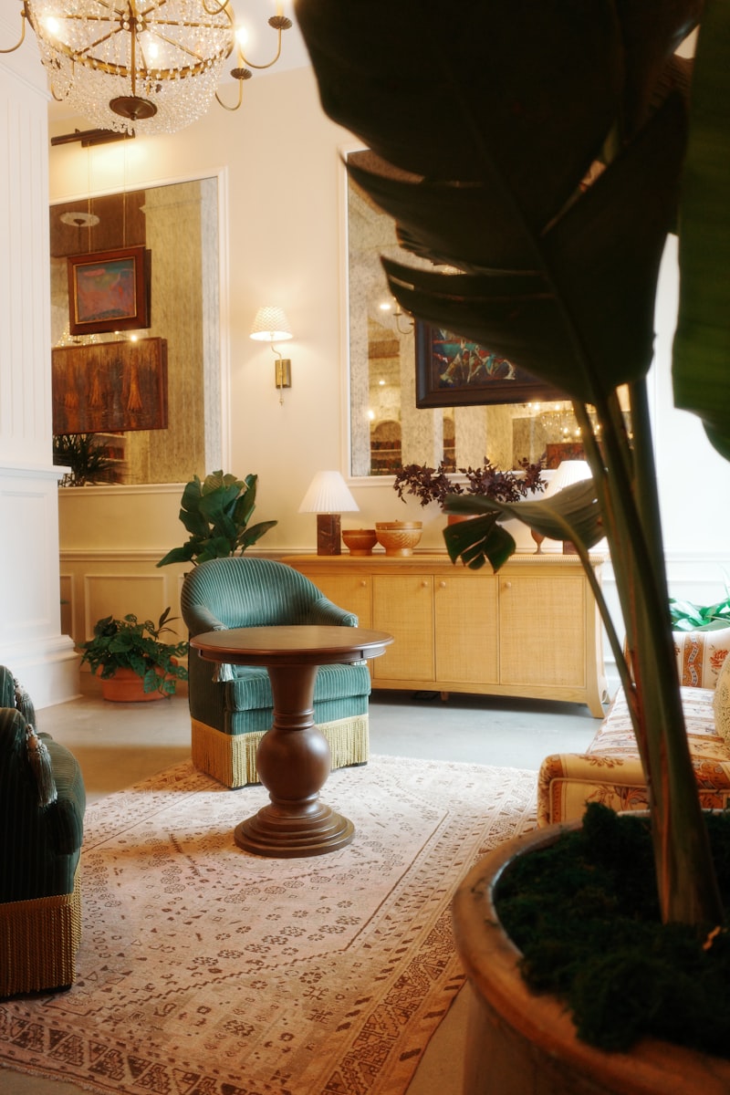 Spa & trị liệu