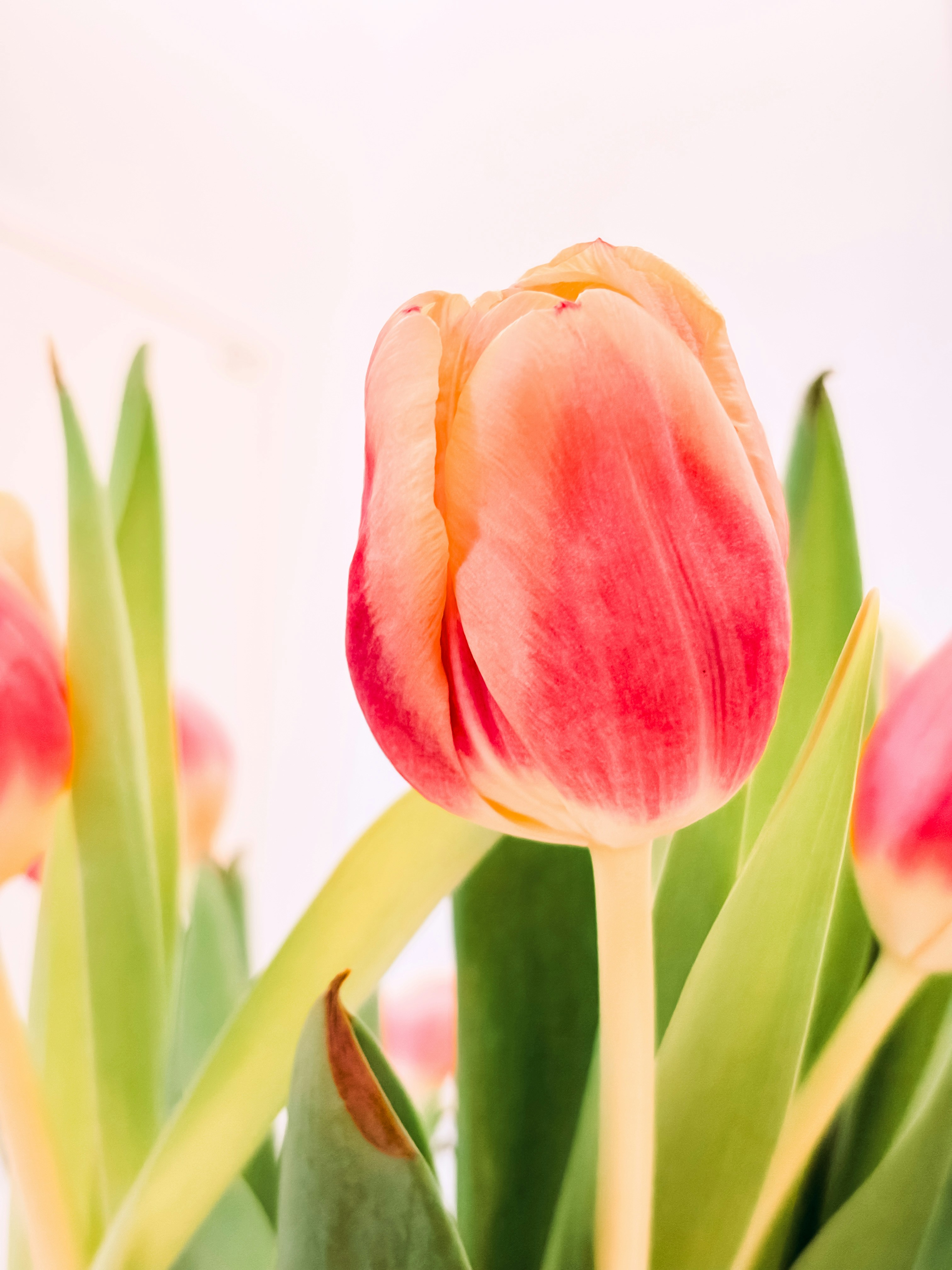 Photo by marinabaranova