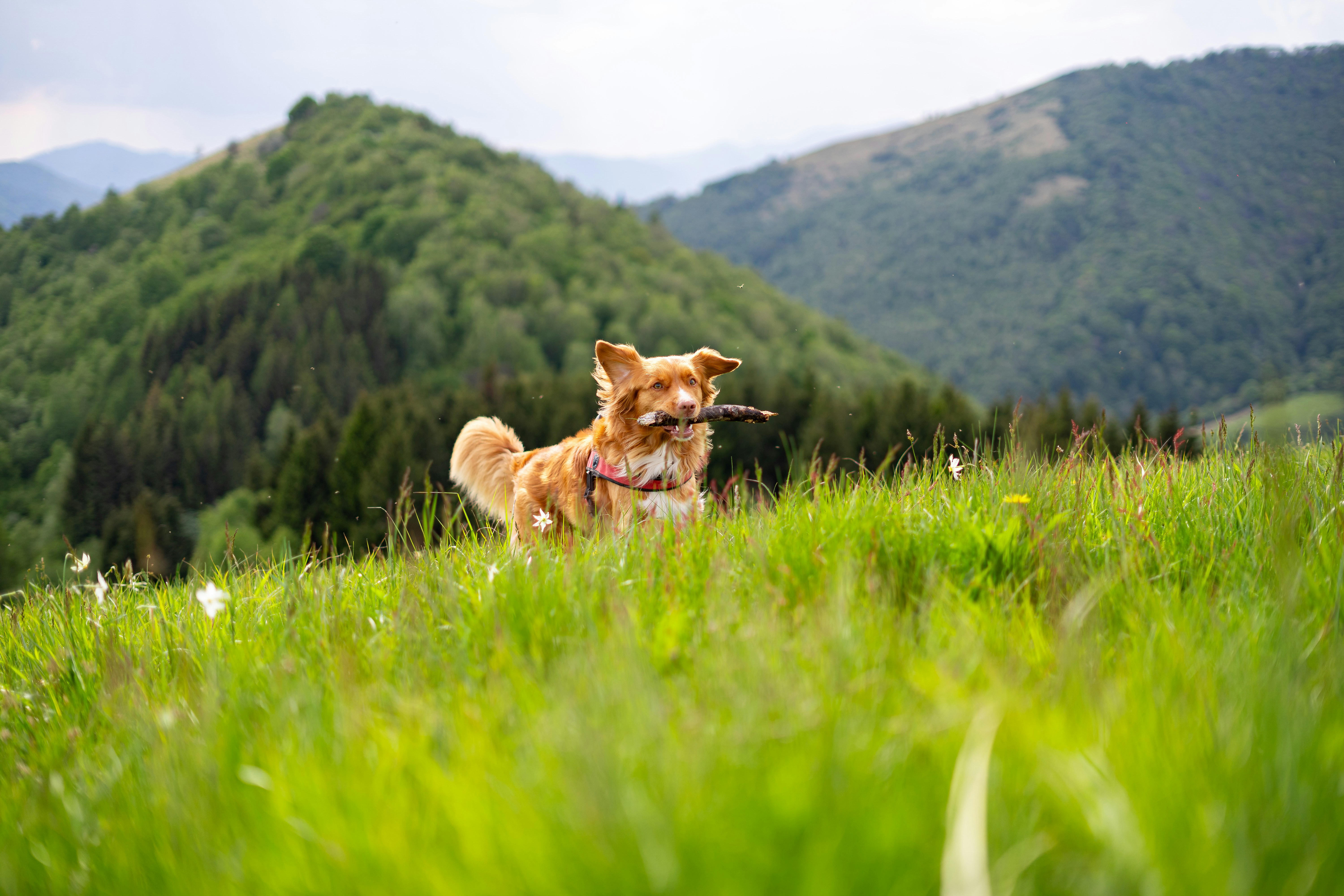 Photo by floppyita