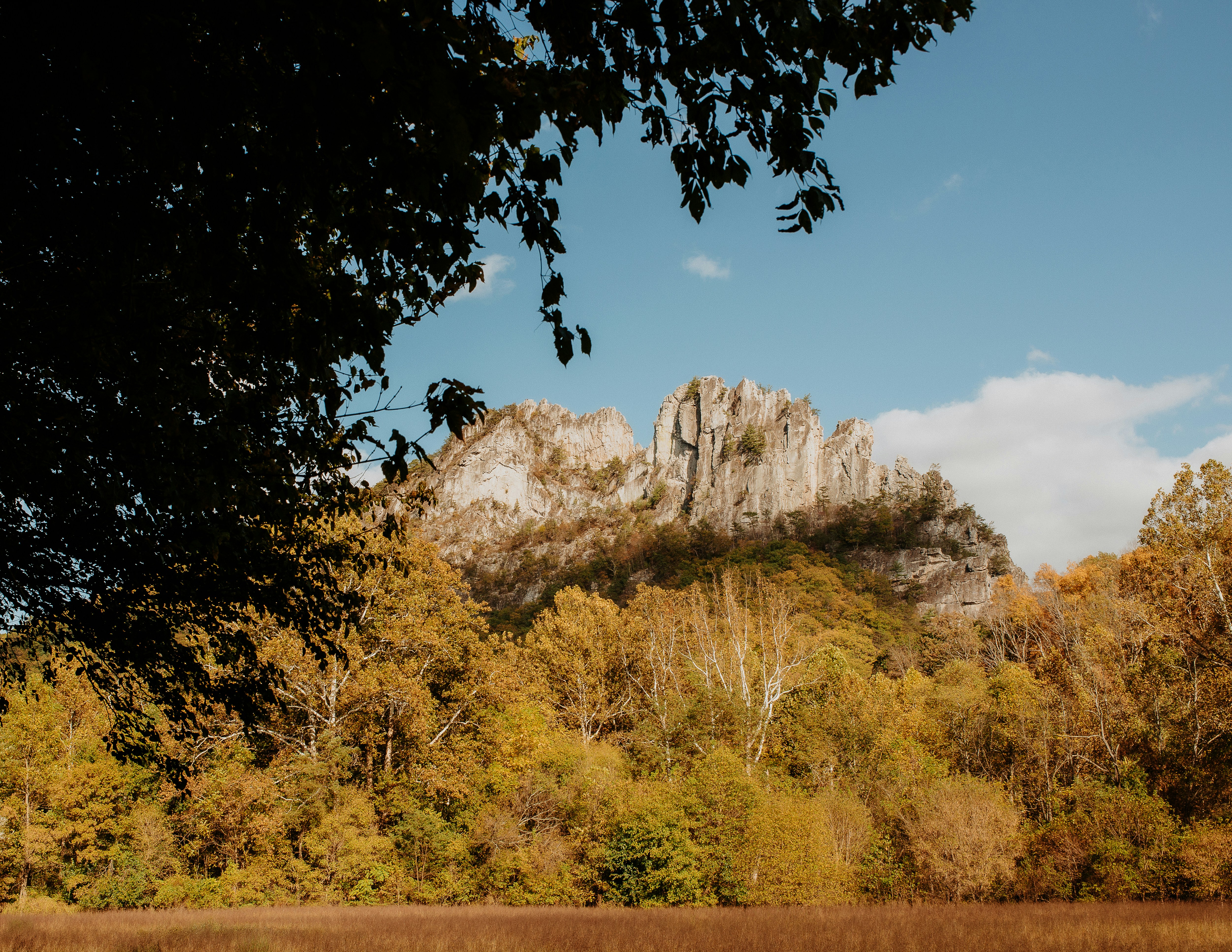 Rocky mountain peak above autumn trees and forest trees