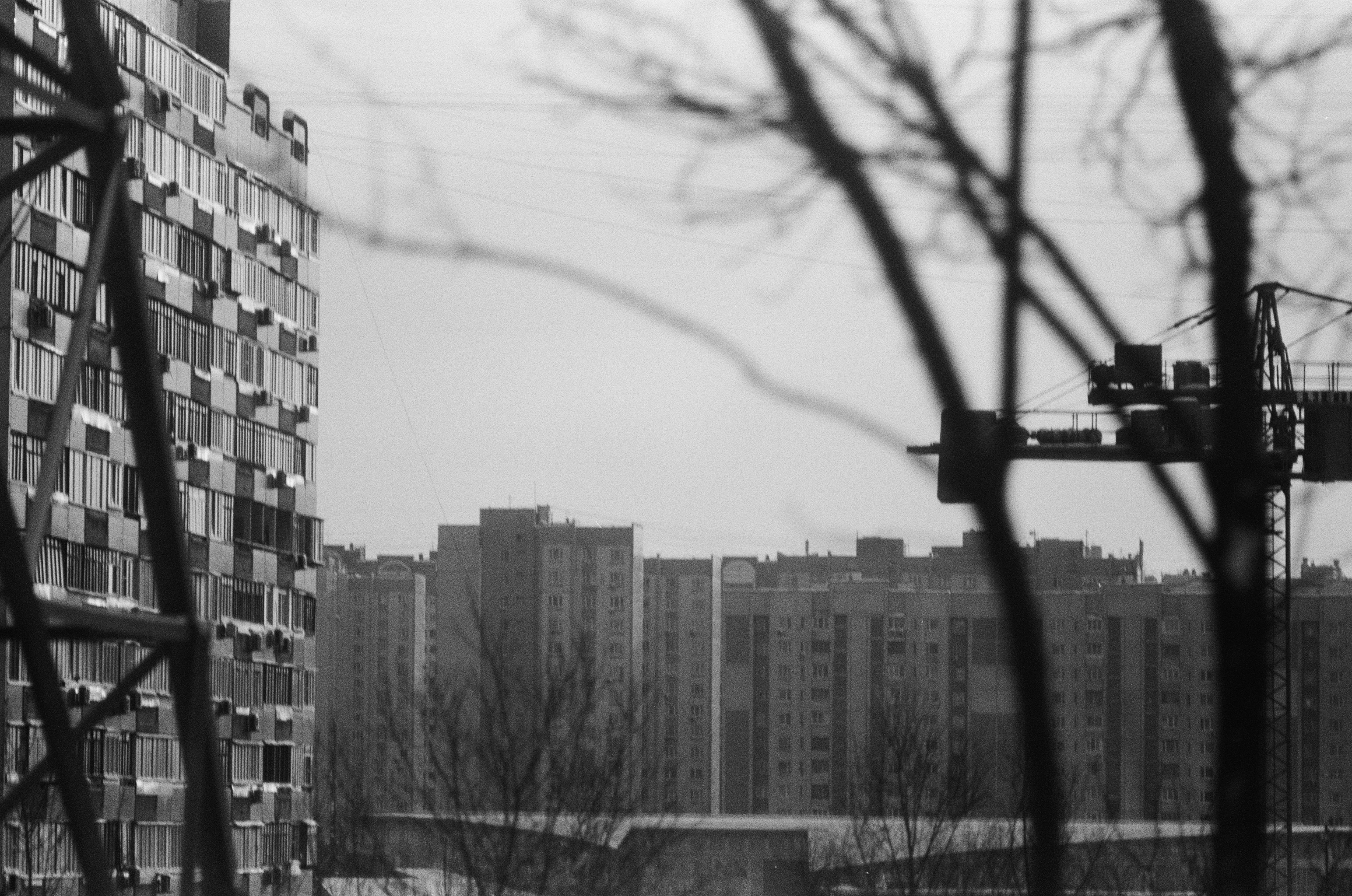 Photo by ulyssuk