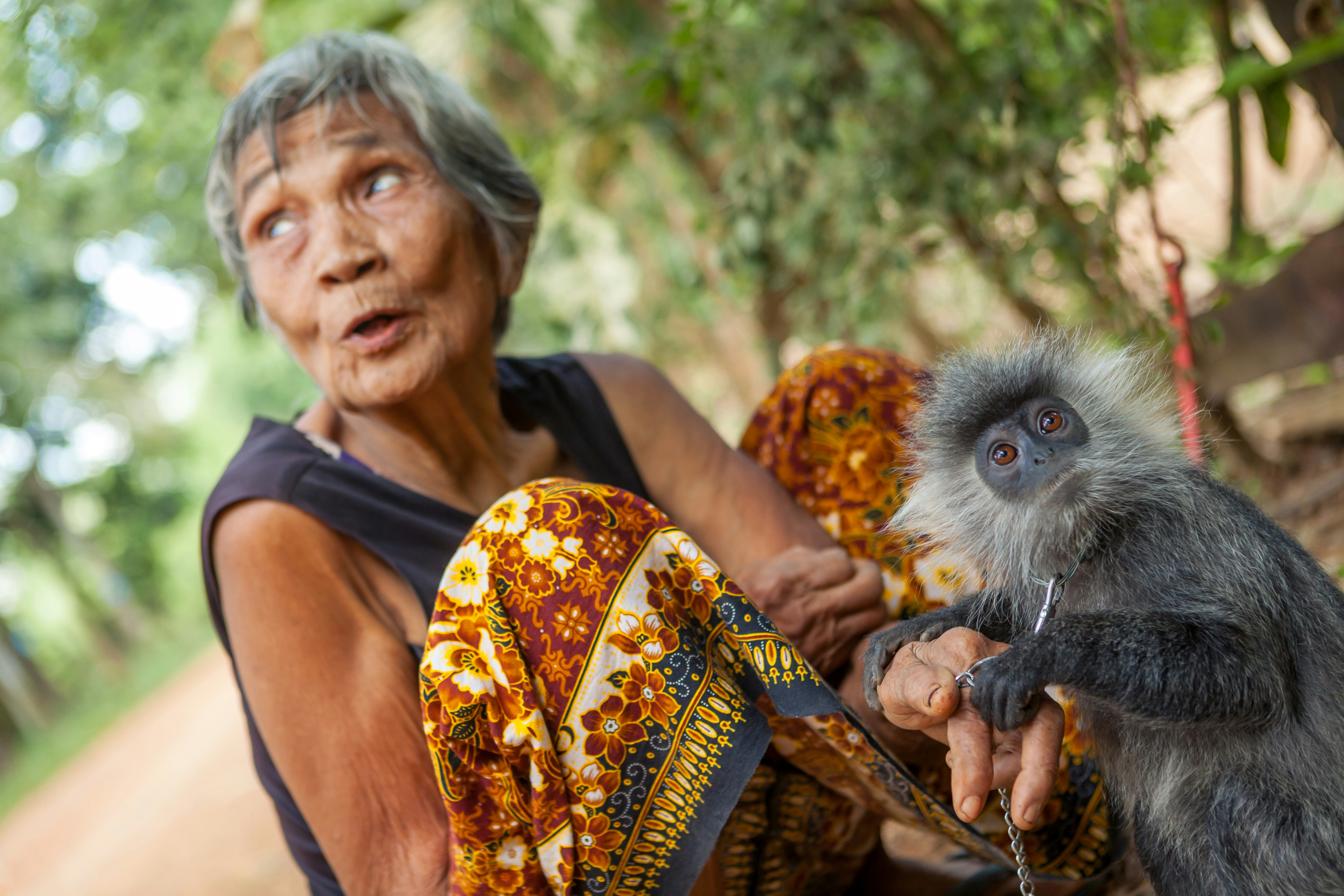 Elderly woman with a monkey sitting next to her photo – Free Animal ...