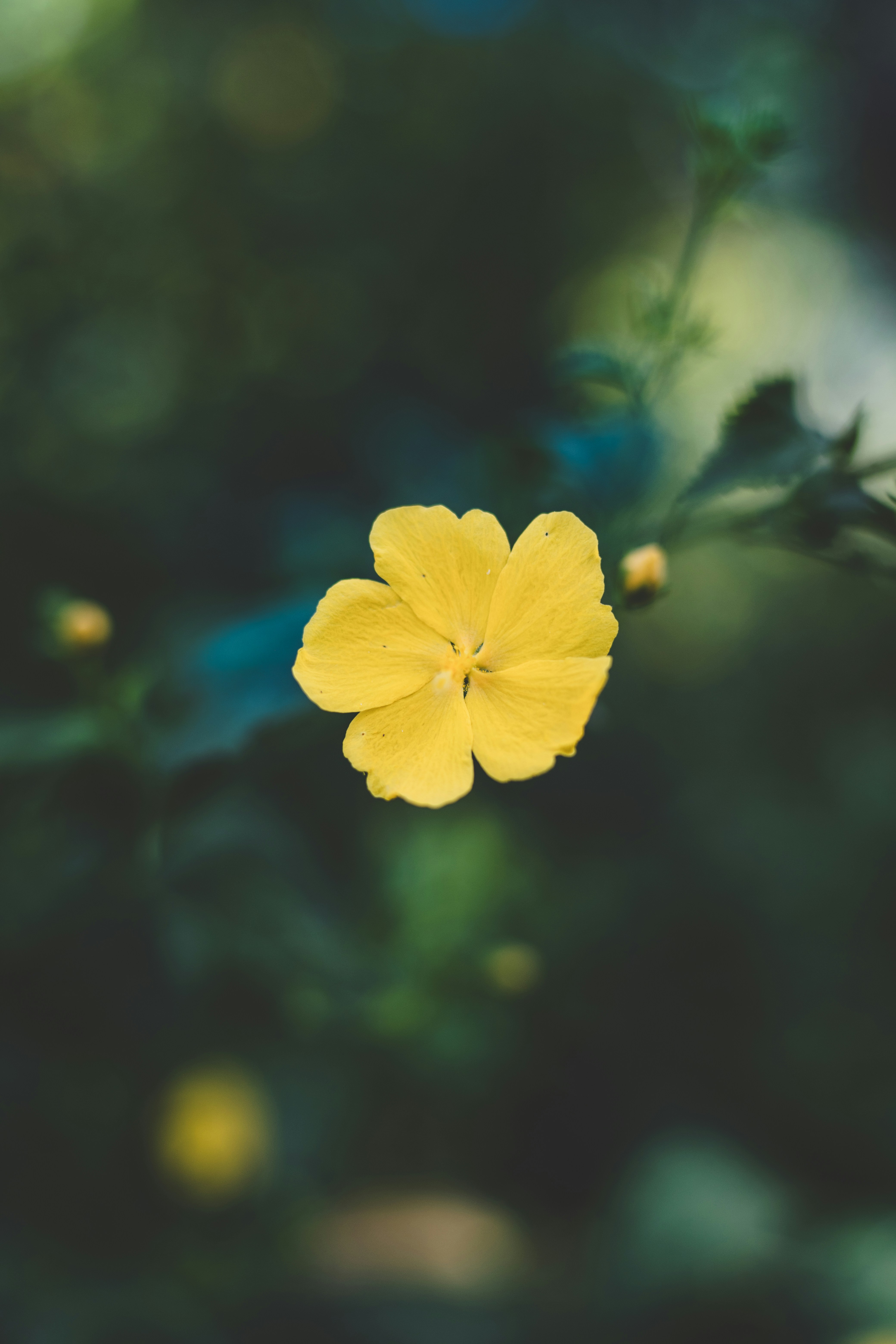 Photo by rrodriguesim