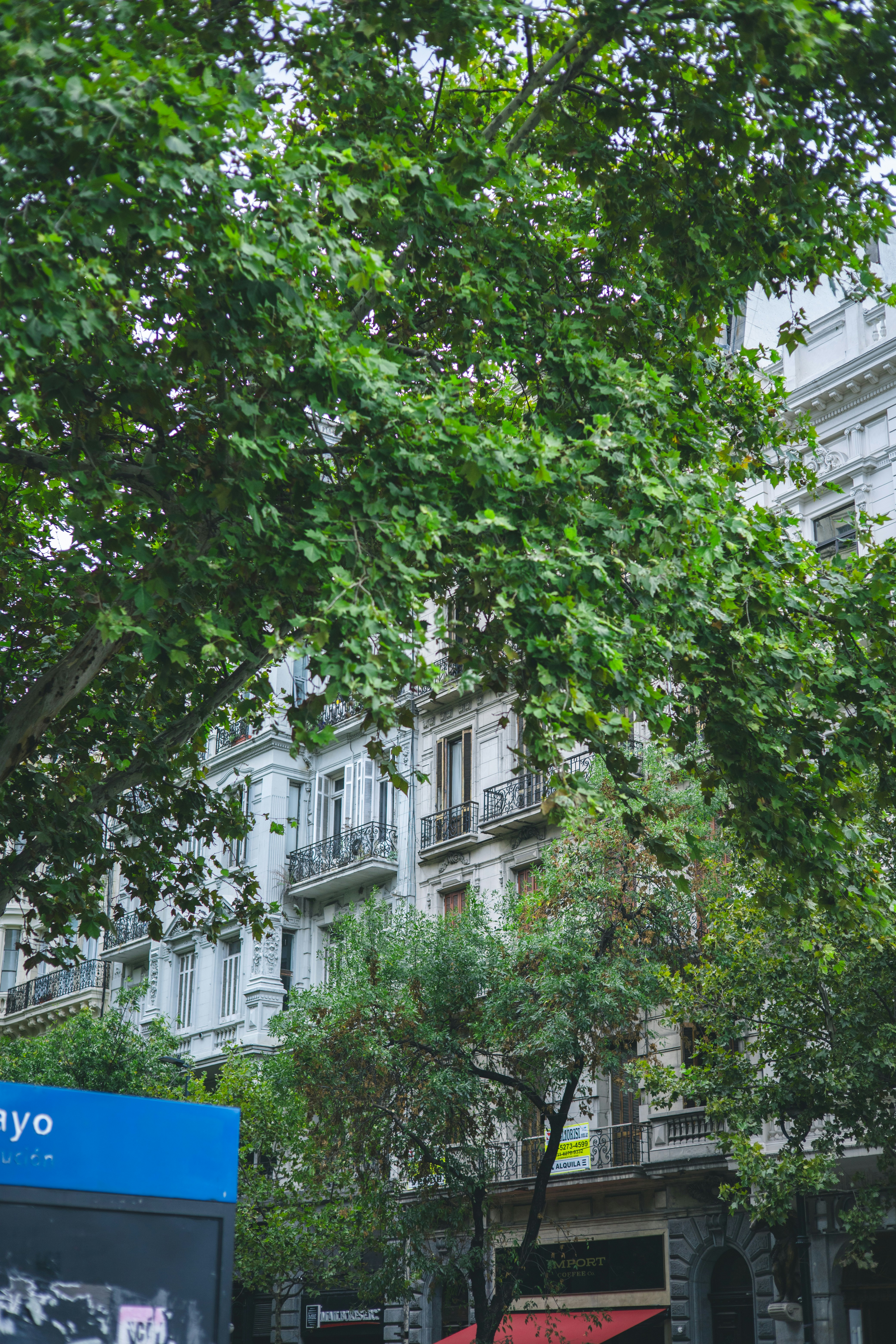 Photo by rrodriguesim