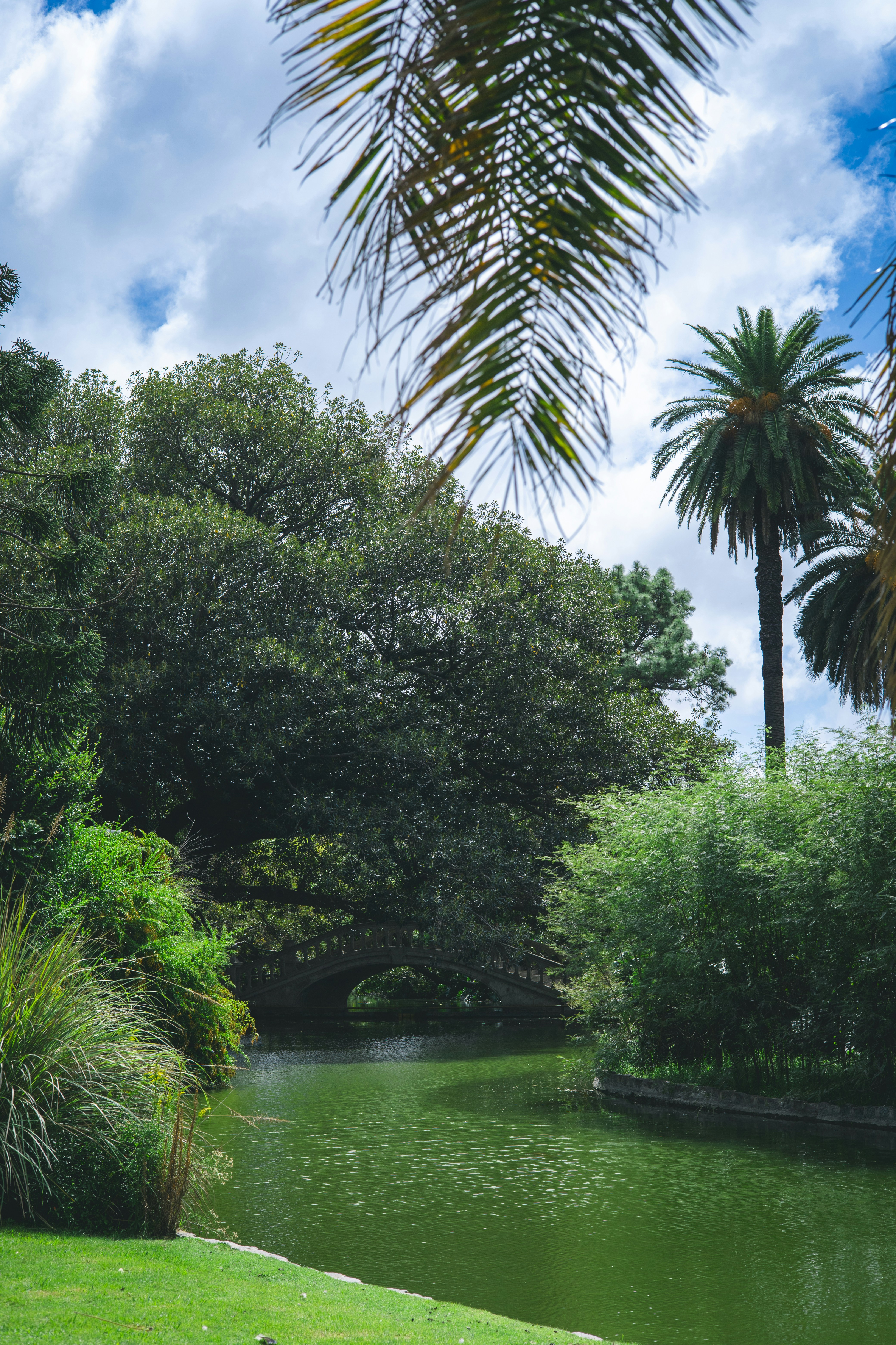 Photo by rrodriguesim