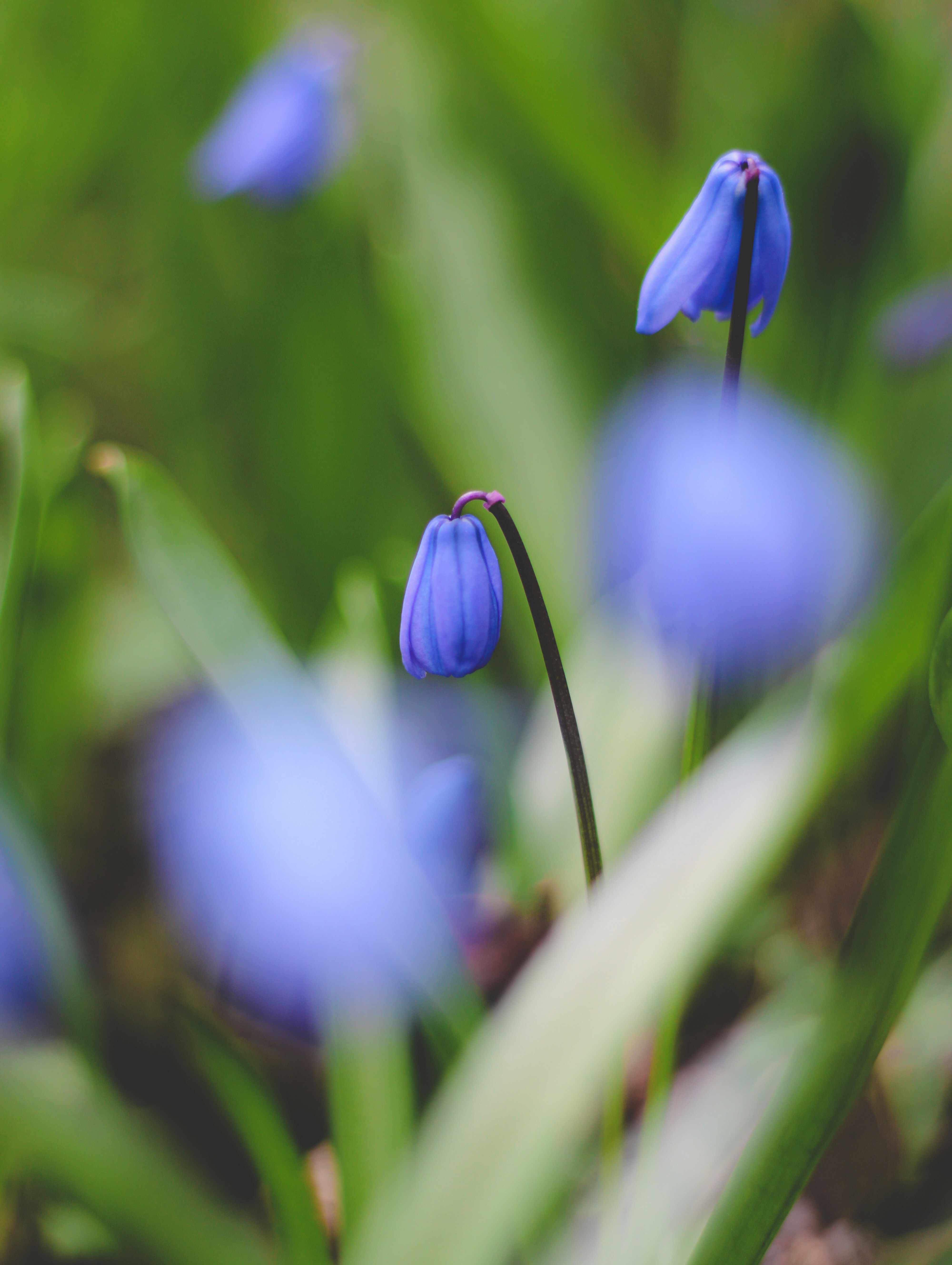 Photo by mohammad_ebesh