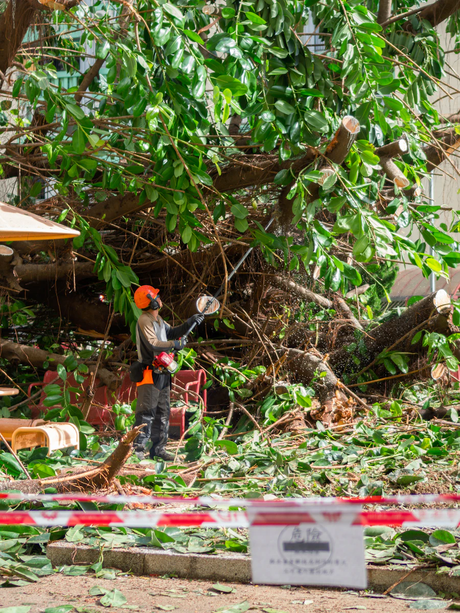 A cleanup crew clearing fallen storm-damaged tree branches